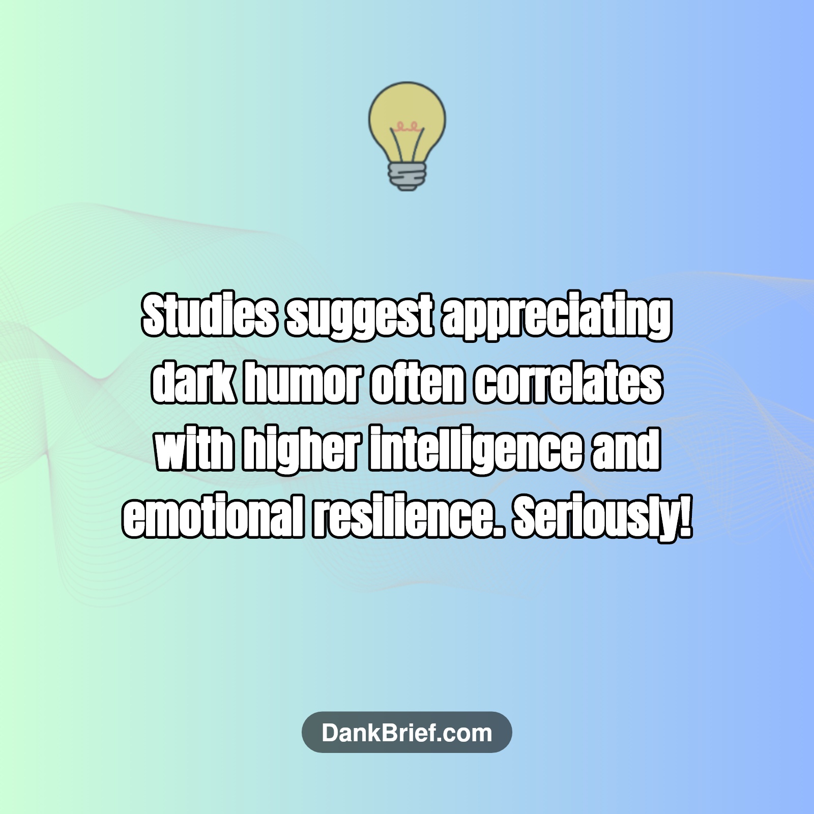Did You Know…