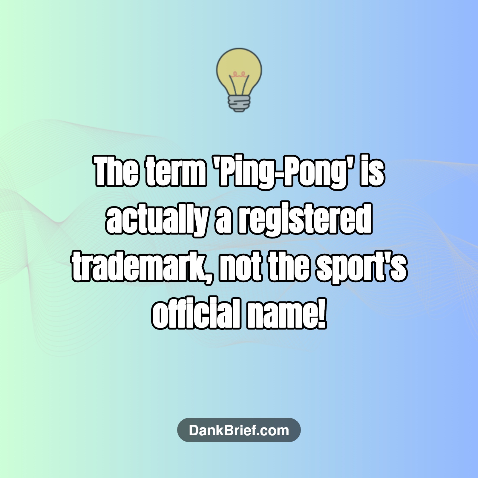 Did You Know…?