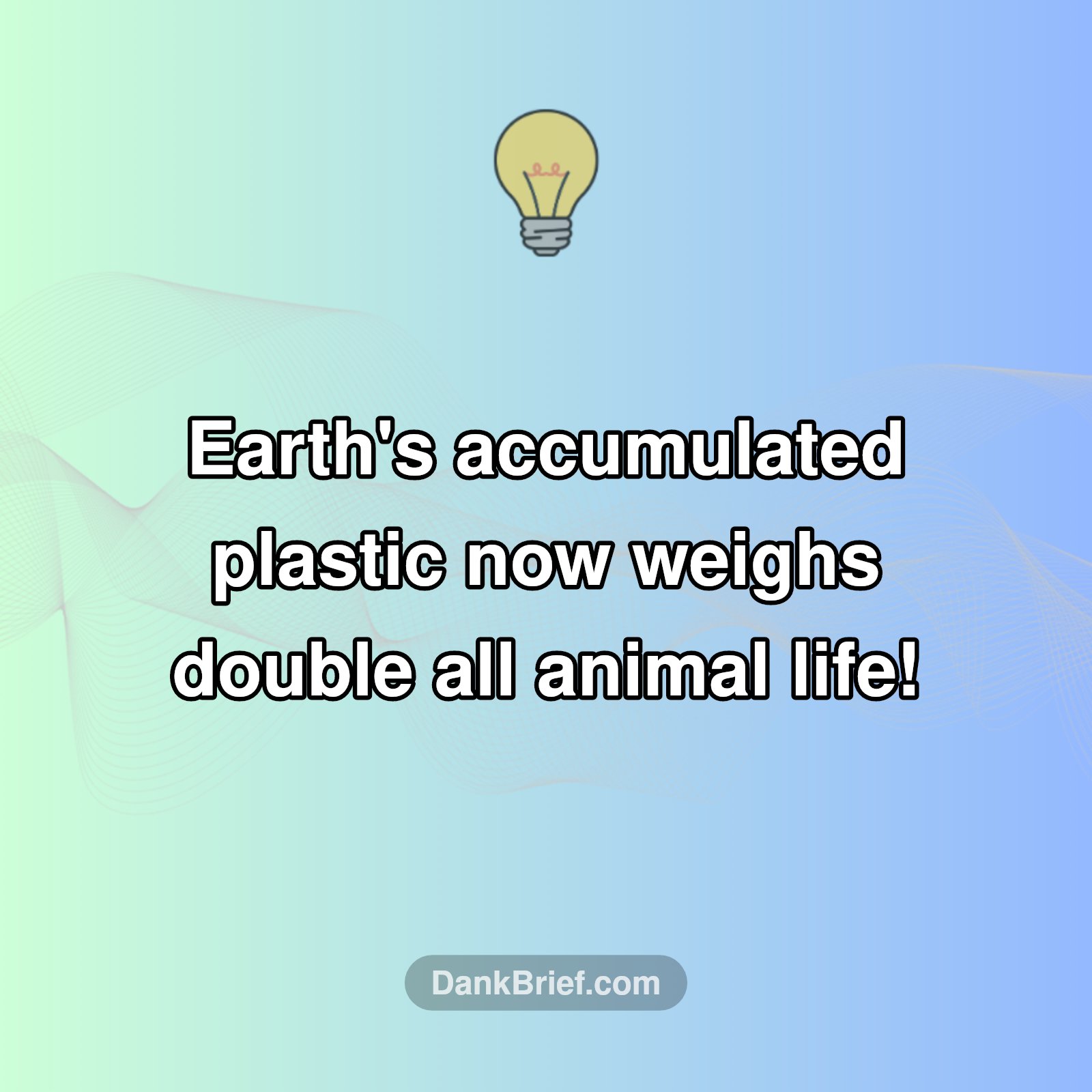 Our Plastic Planet