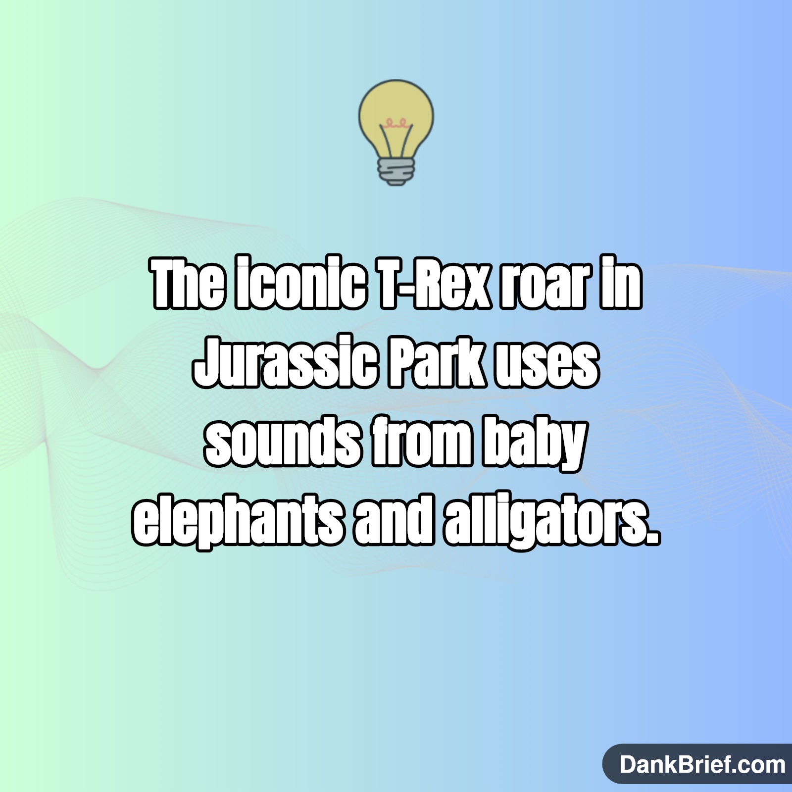 Did You Know…