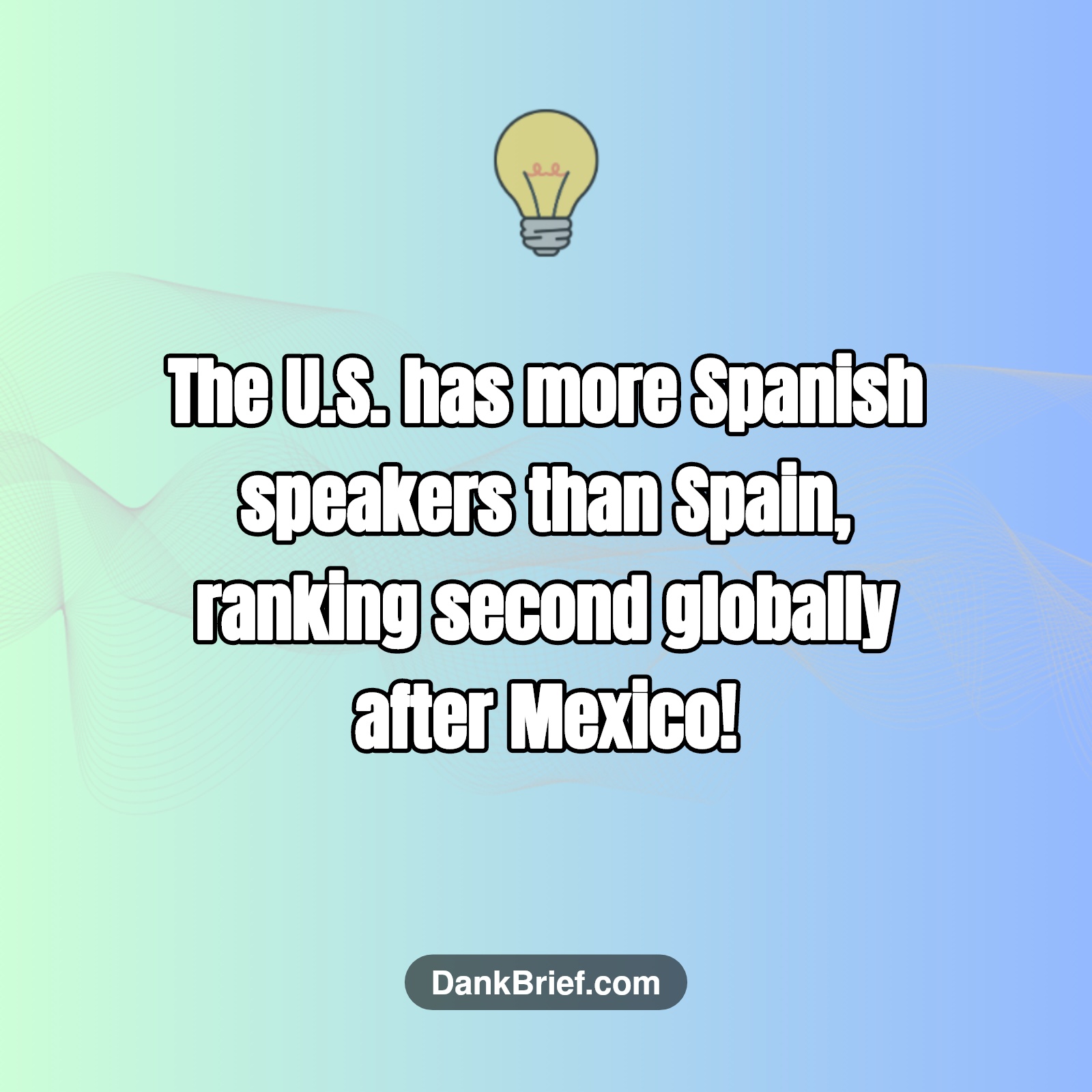 Did You Know…