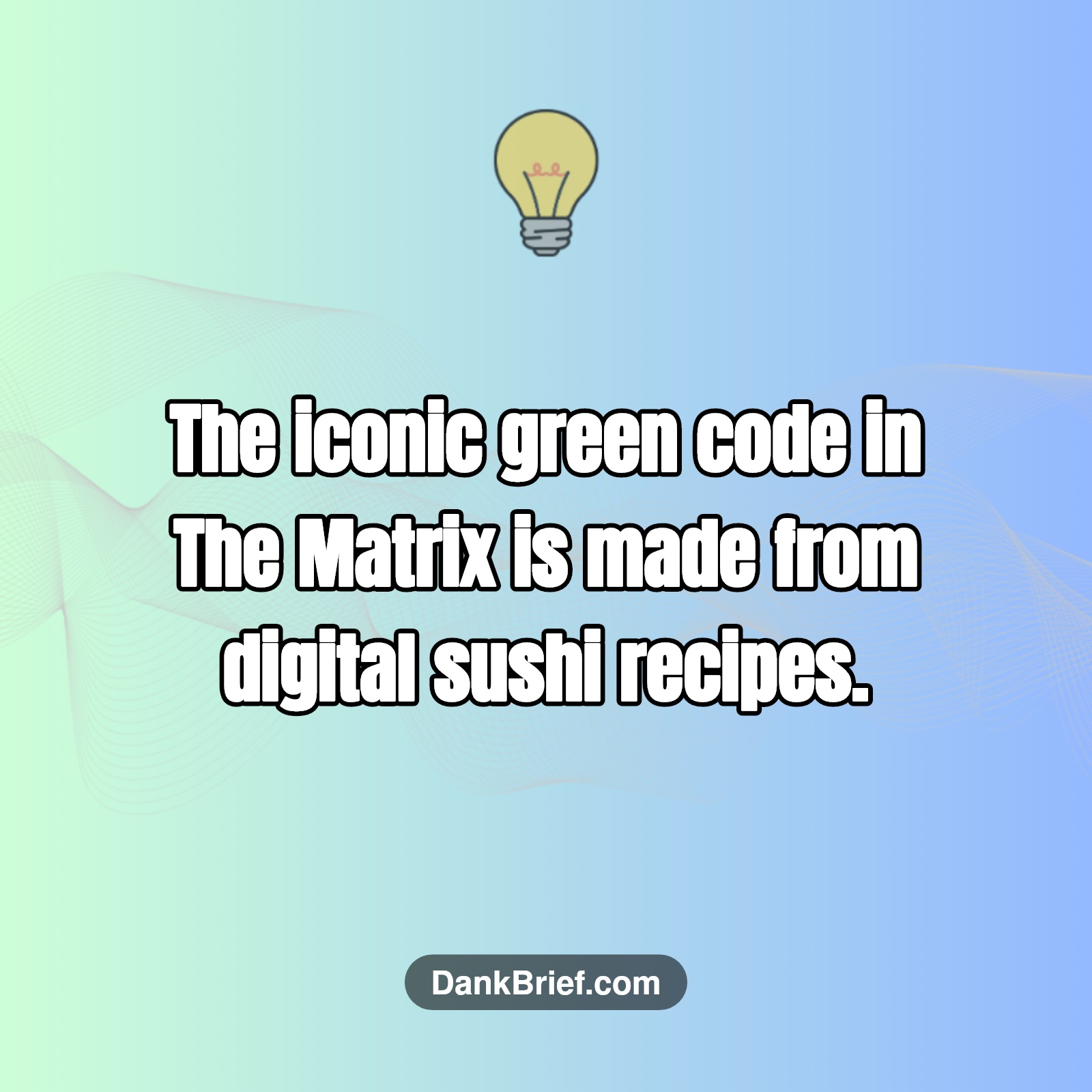 Did You Know…