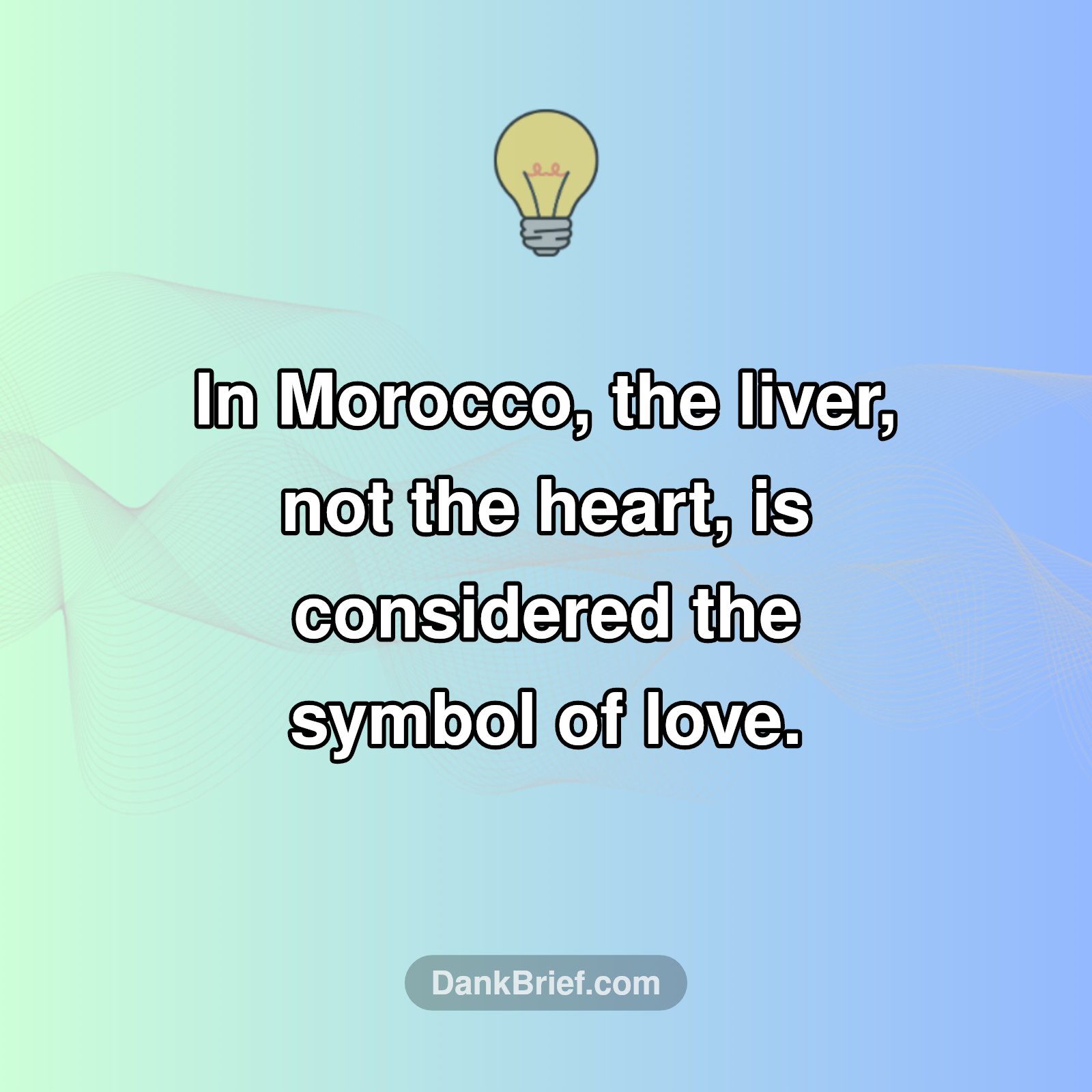 Mind-Blown Morocco Love Fact!