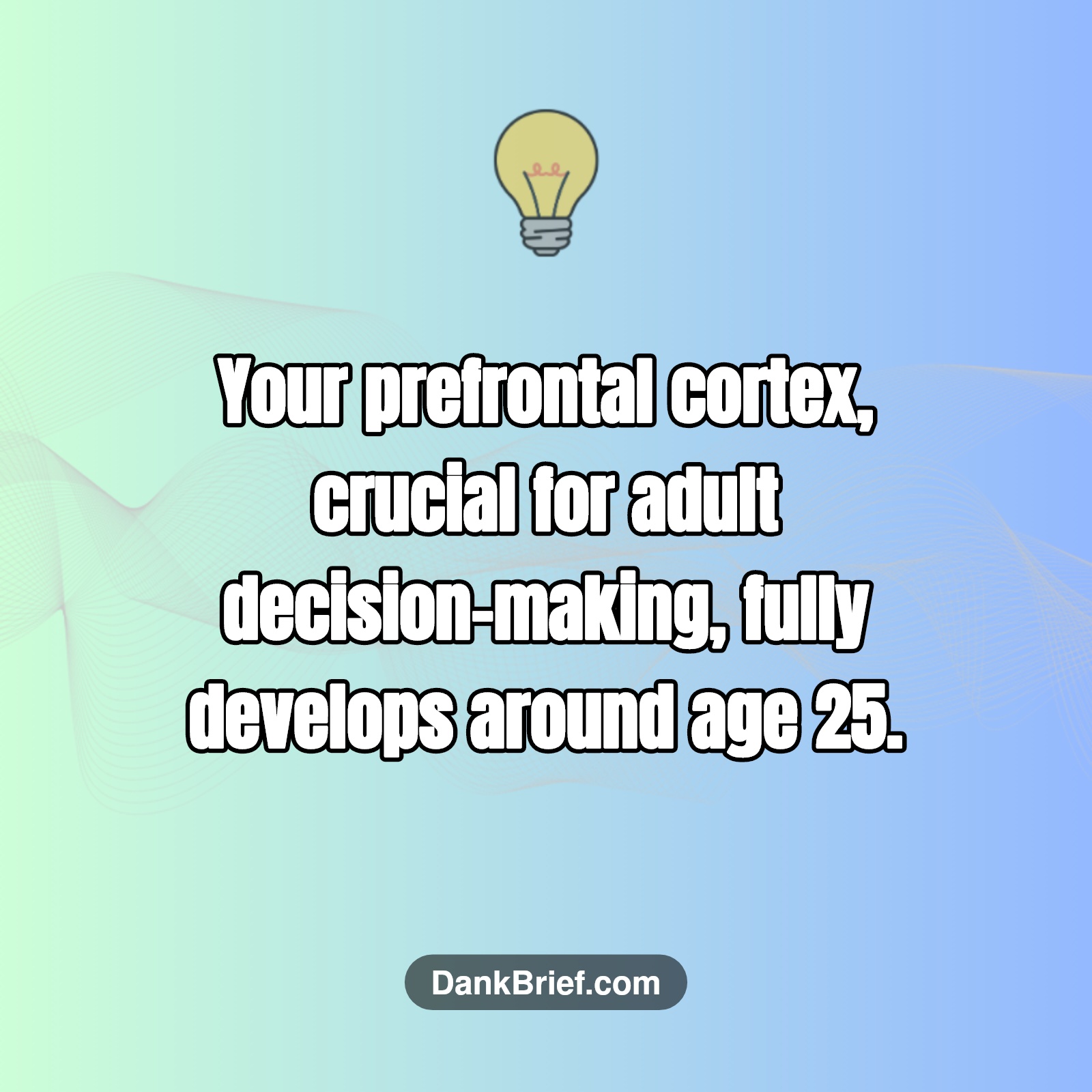 Did You Know… your brain is still "adulting" until your mid-20s?