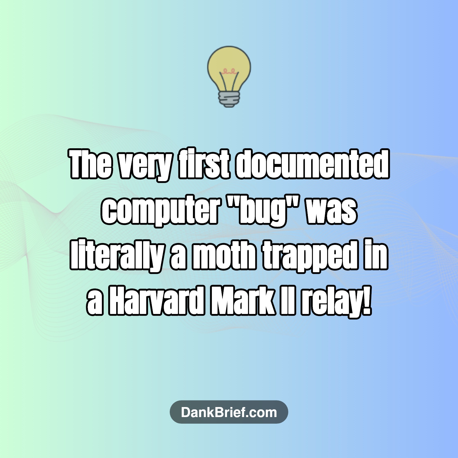 Did You Know…