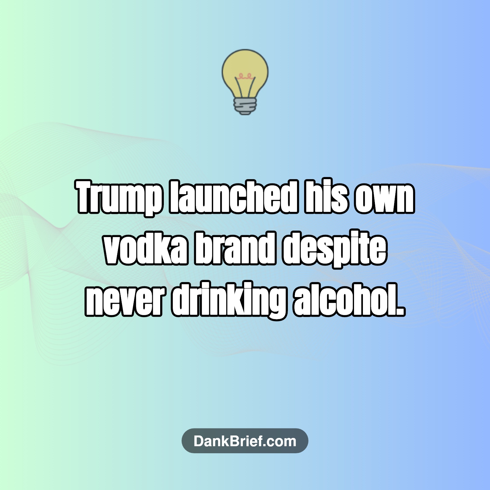 Did You Know…