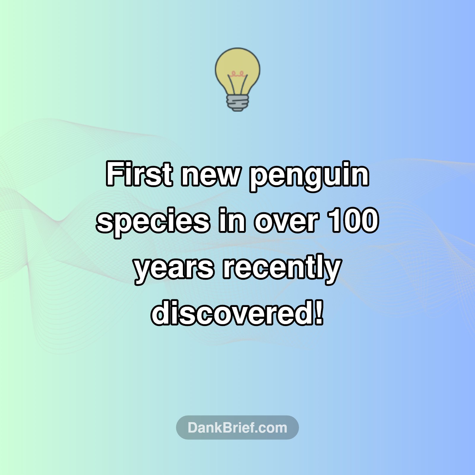 Penguin Shocker!