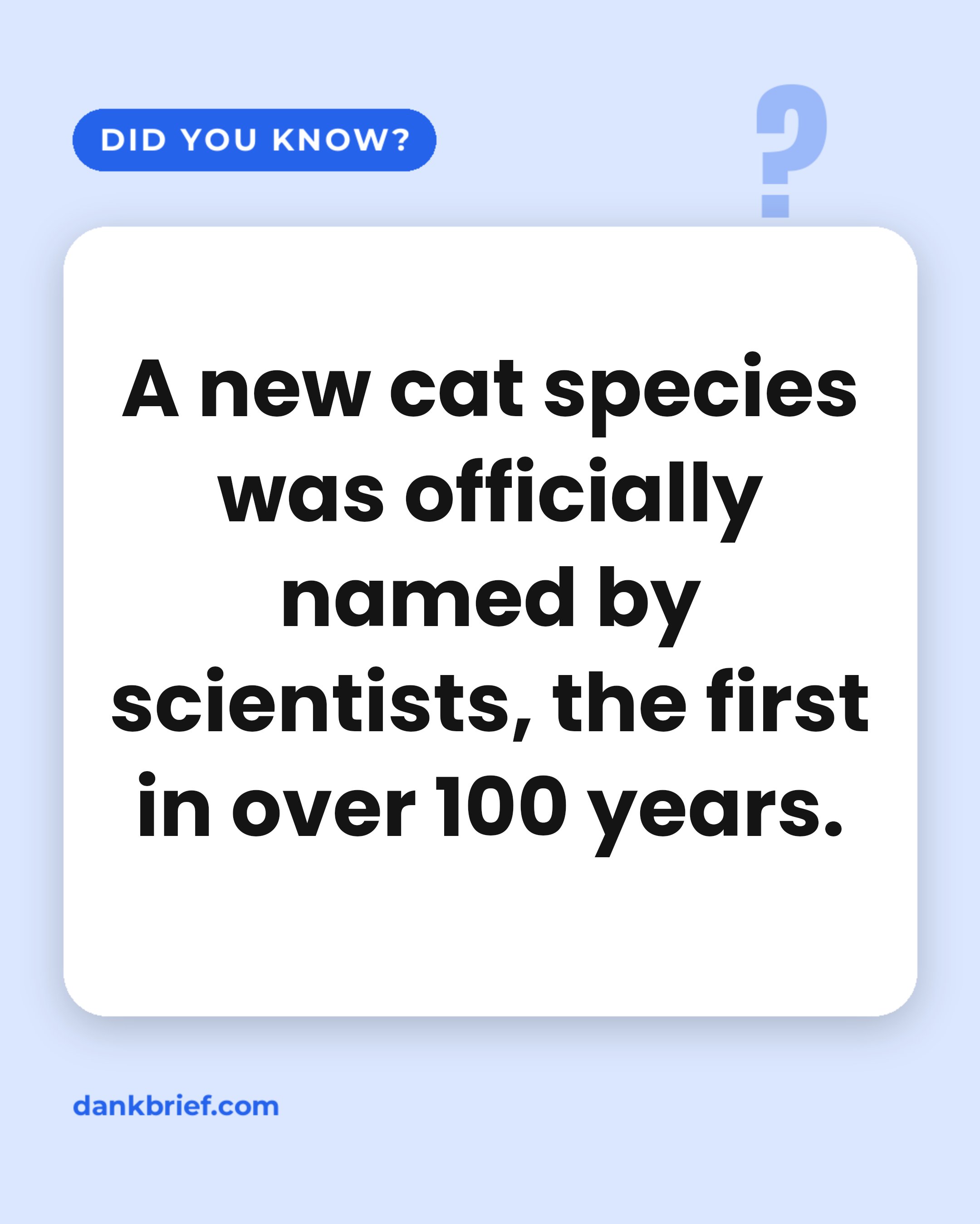A new cat species was officially named by scientists, the first in over 100 years.