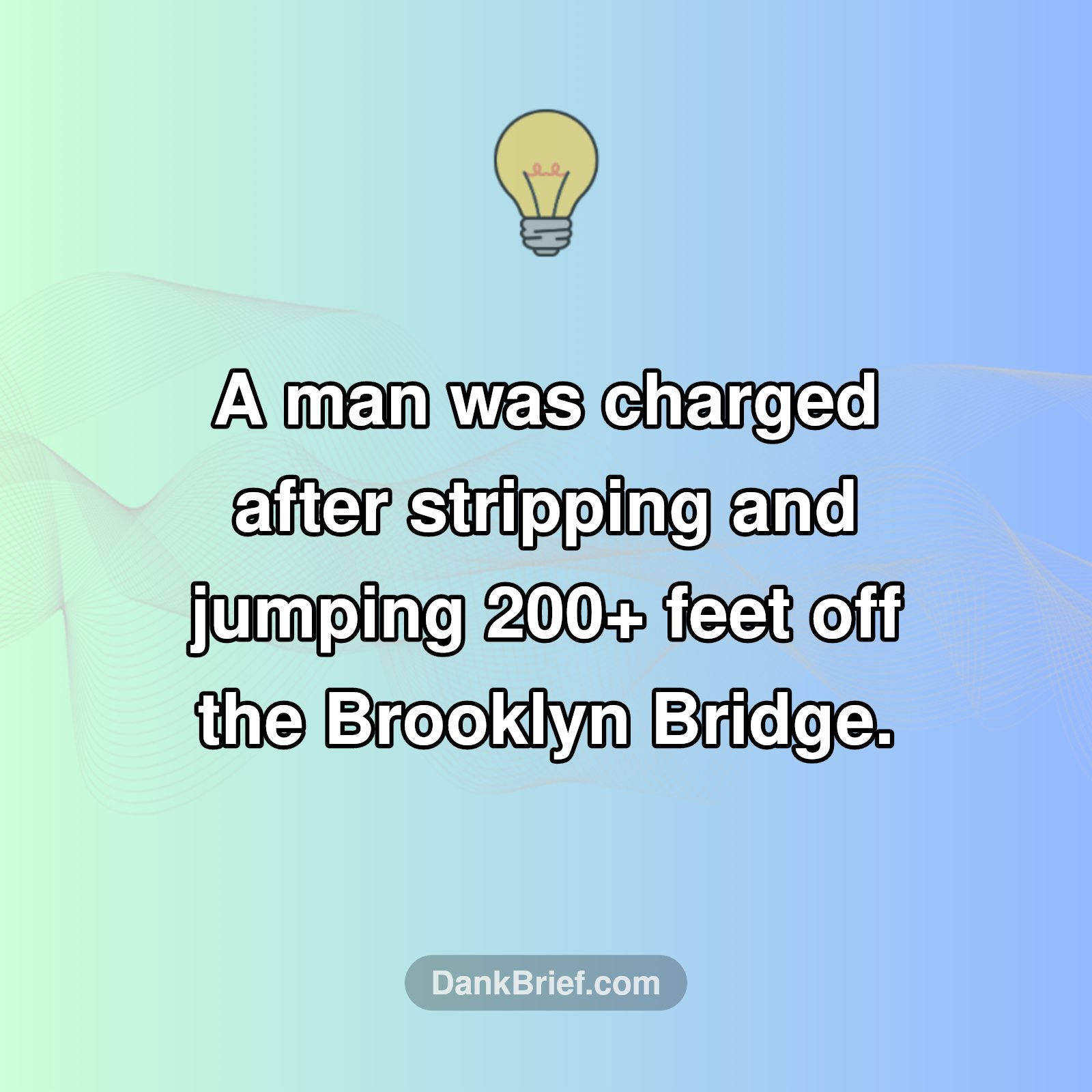 NYC's Wild Leap: Brooklyn Bridge Dive!