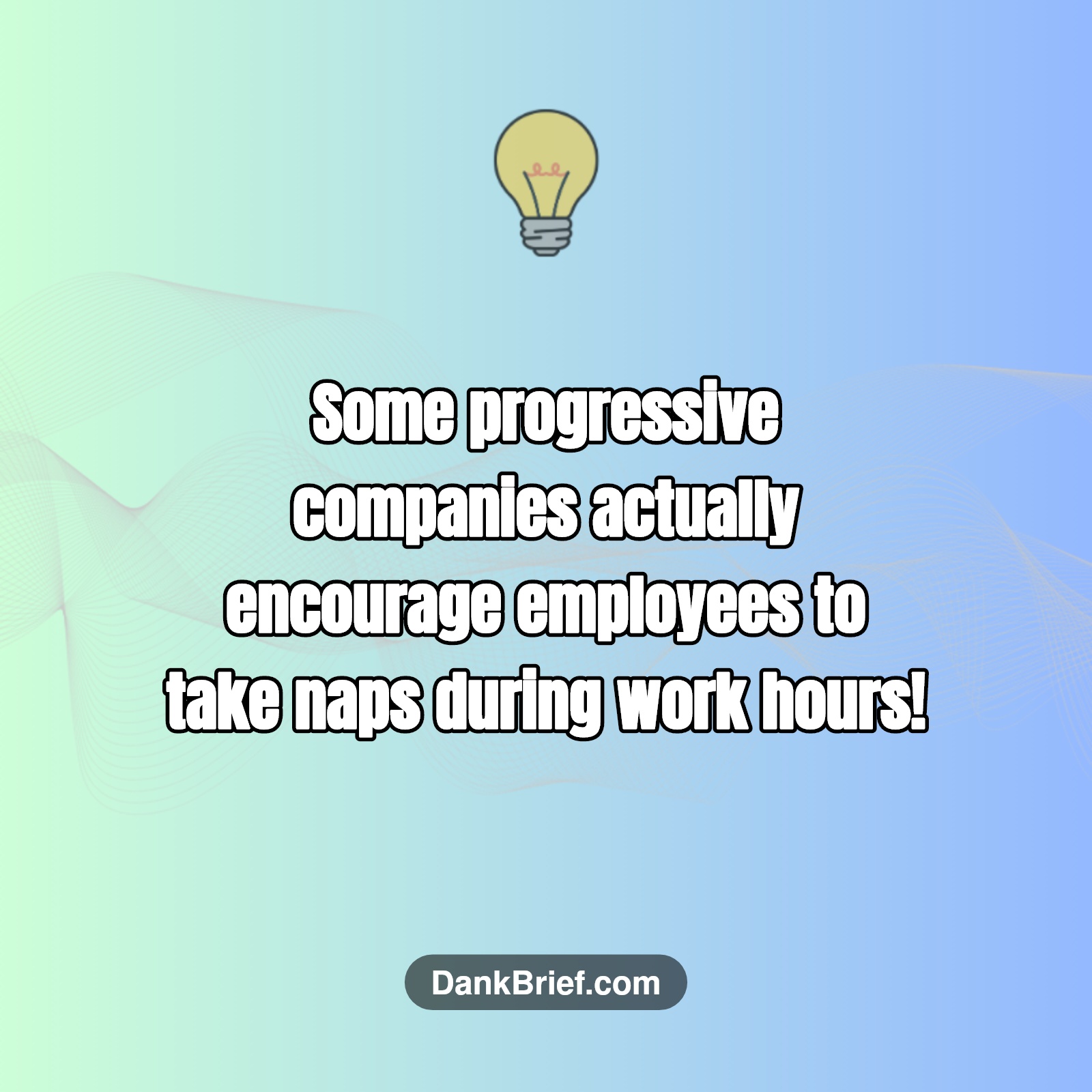 Did You Know…