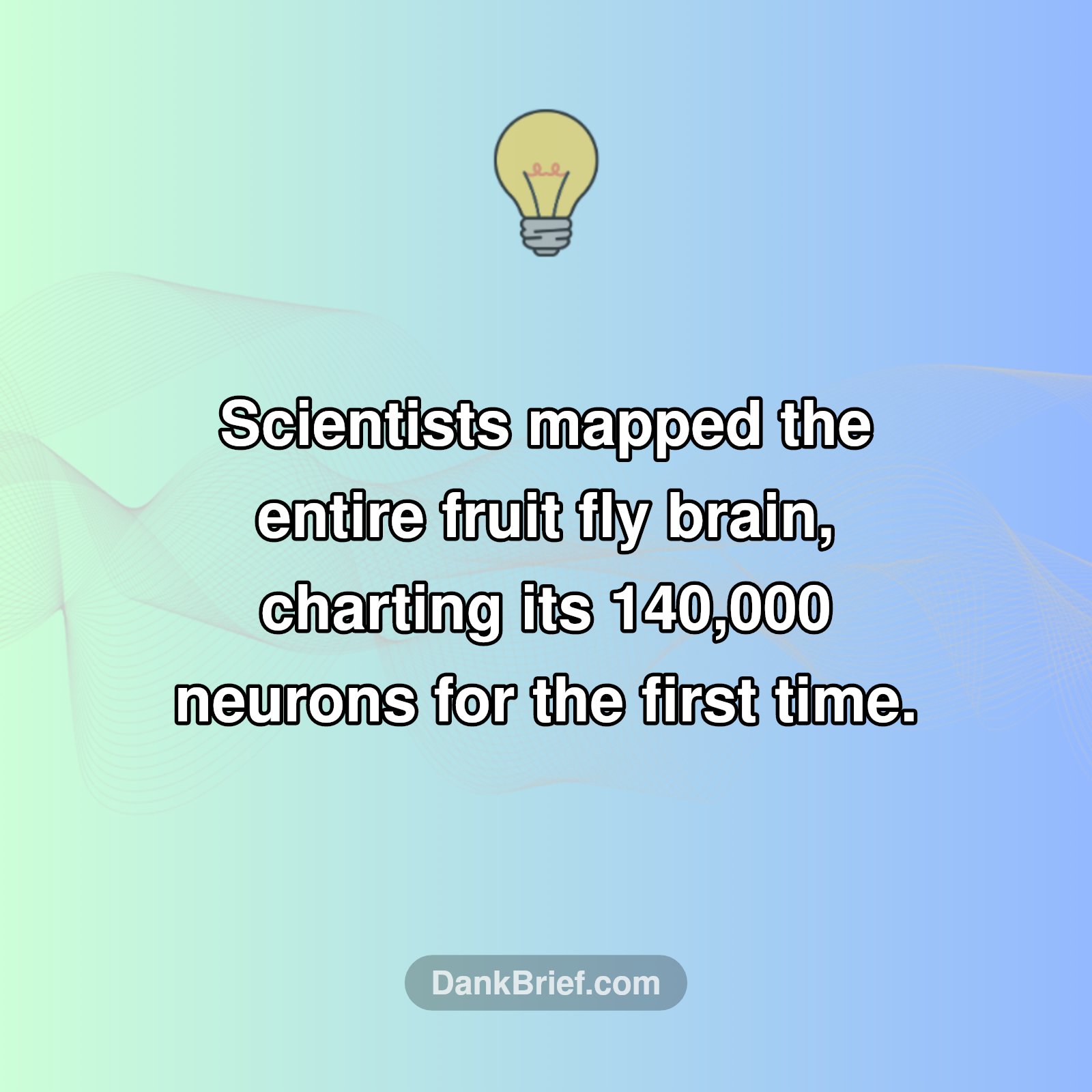 Unlocking the Brain's Secrets