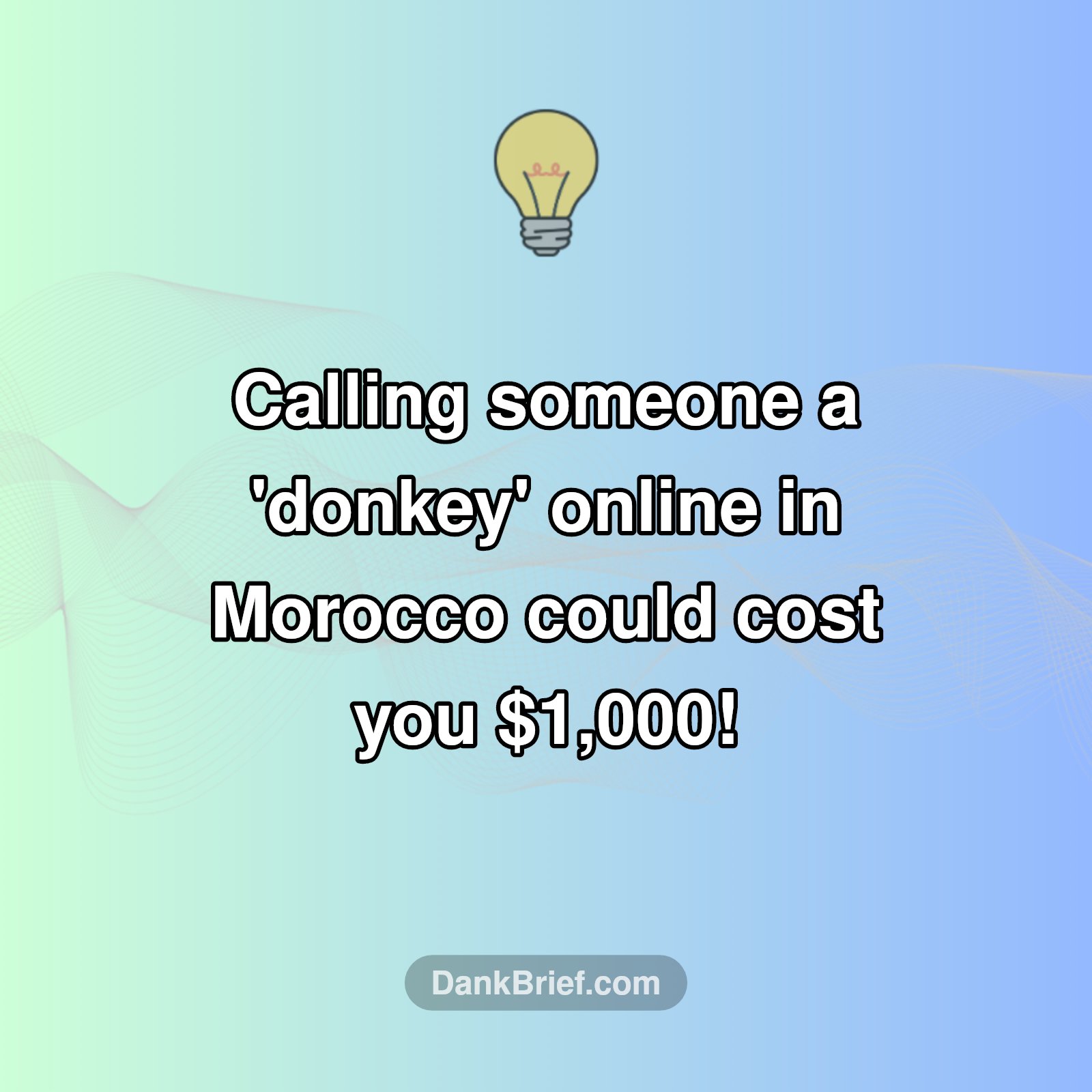 Mind Your Memes: The Price of Insults in Morocco!