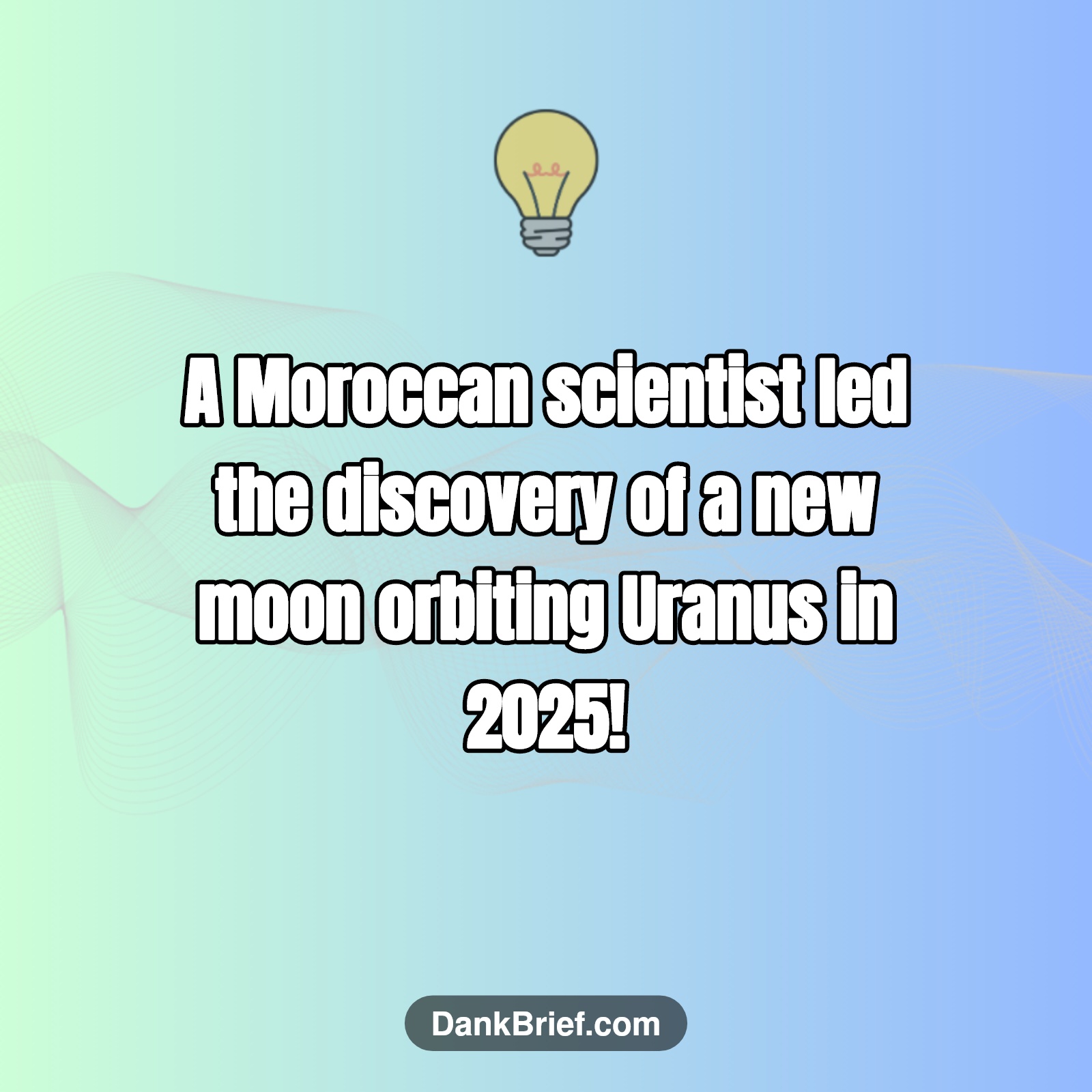Did You Know…