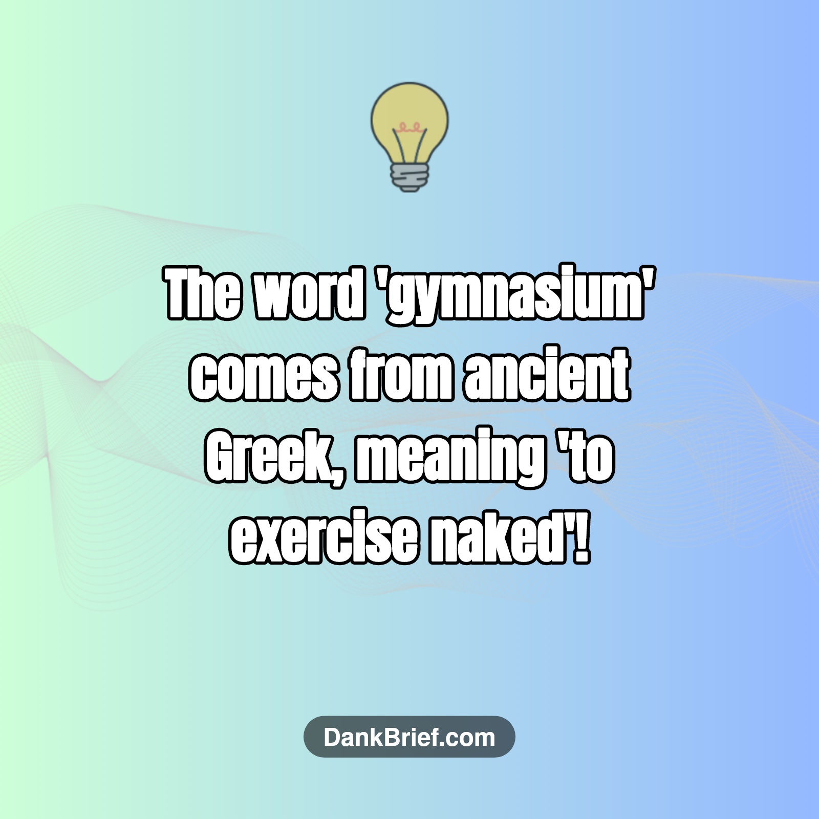 Did You Know... Gym Origins Are WILD?!