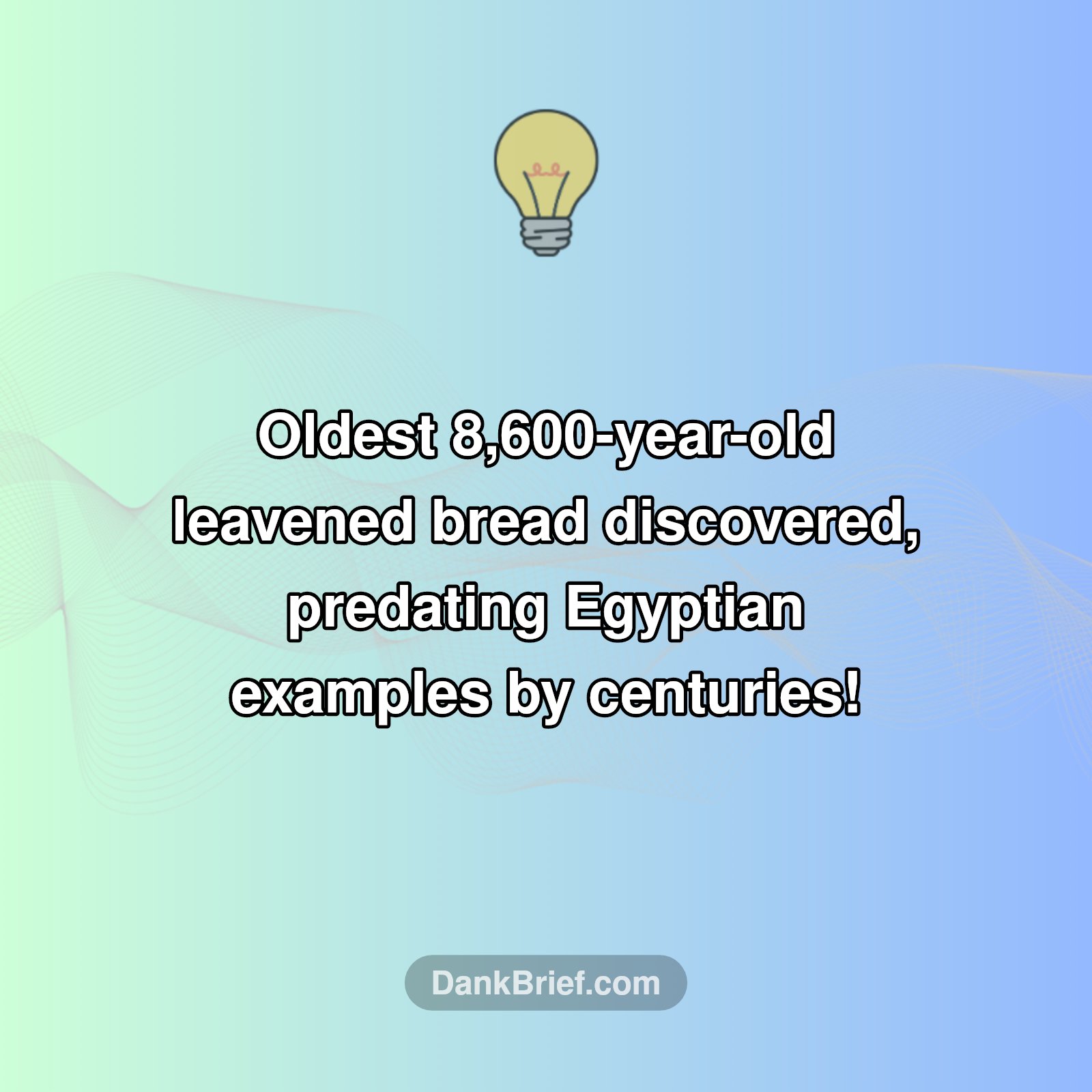 Ancient Bread Uncovered!