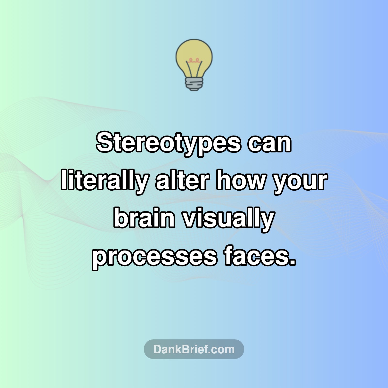 Your Brain Sees Stereotypes: A Wild Fact!