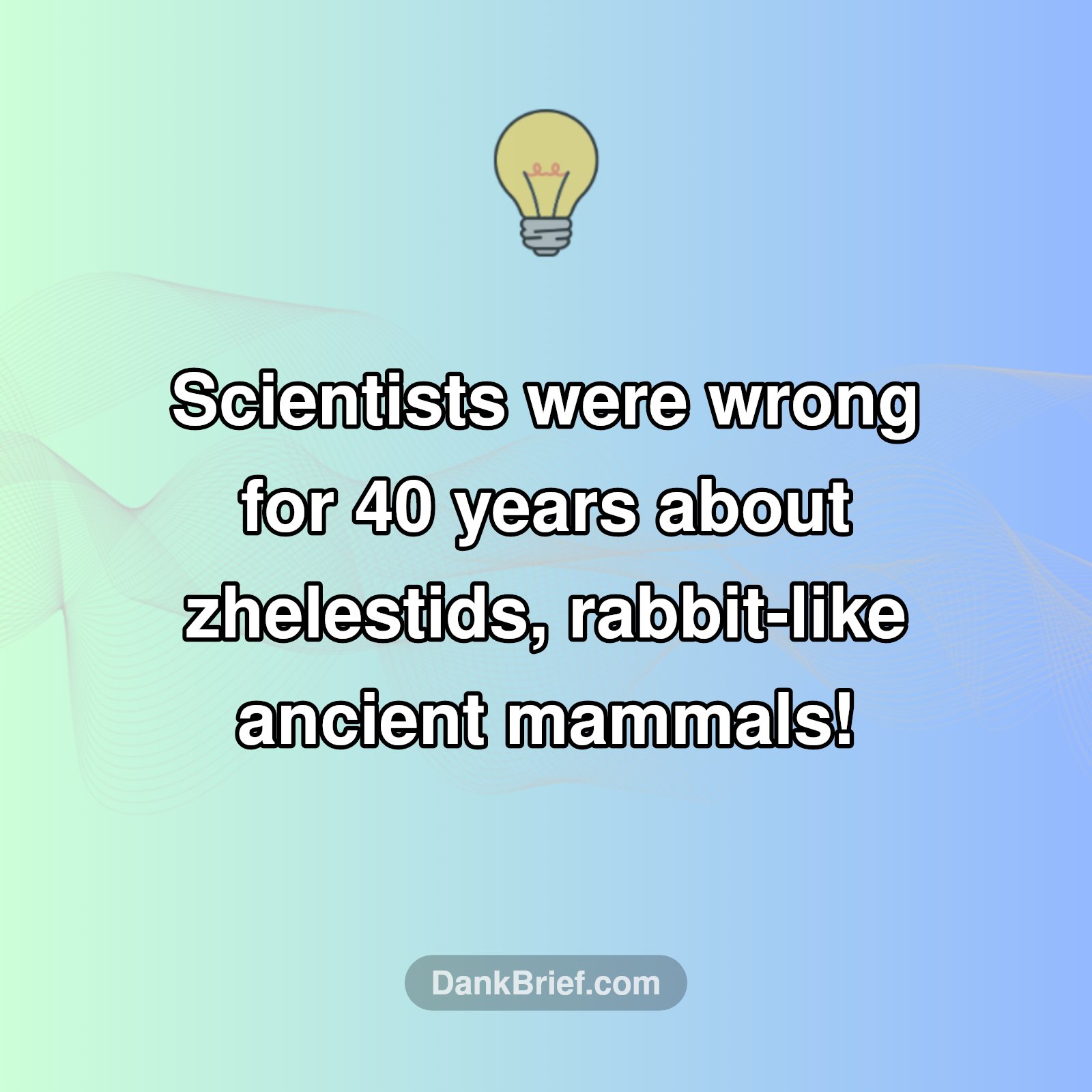 Ancient Mammal Mystery Solved!