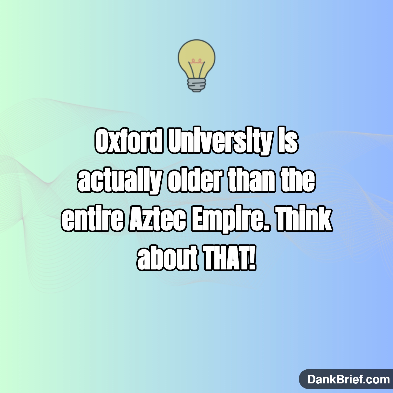 Did You Know…