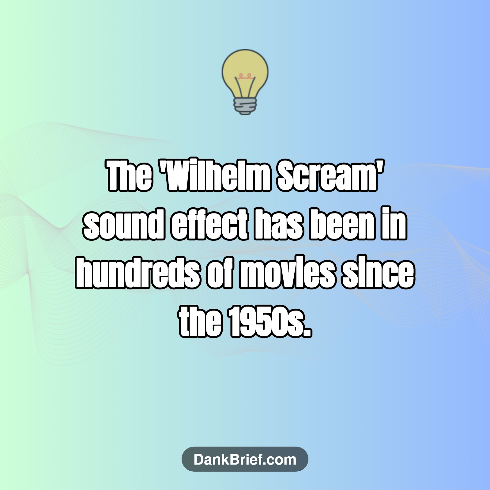 Did You Know…