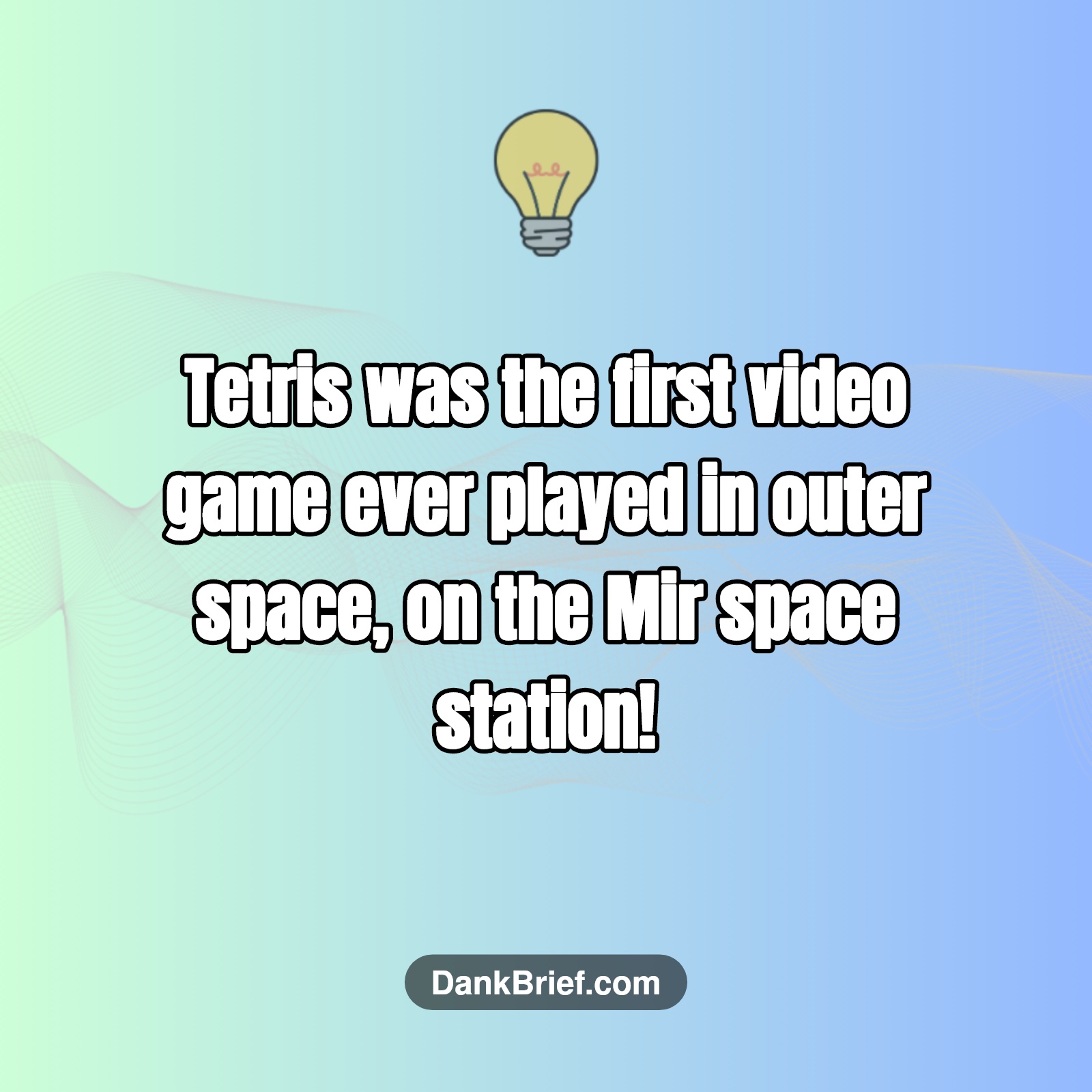Did You Know…