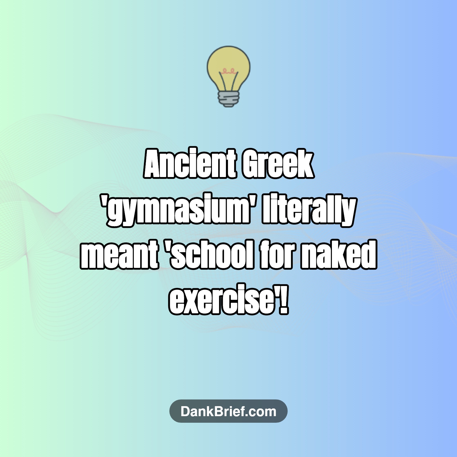Did You Know…
