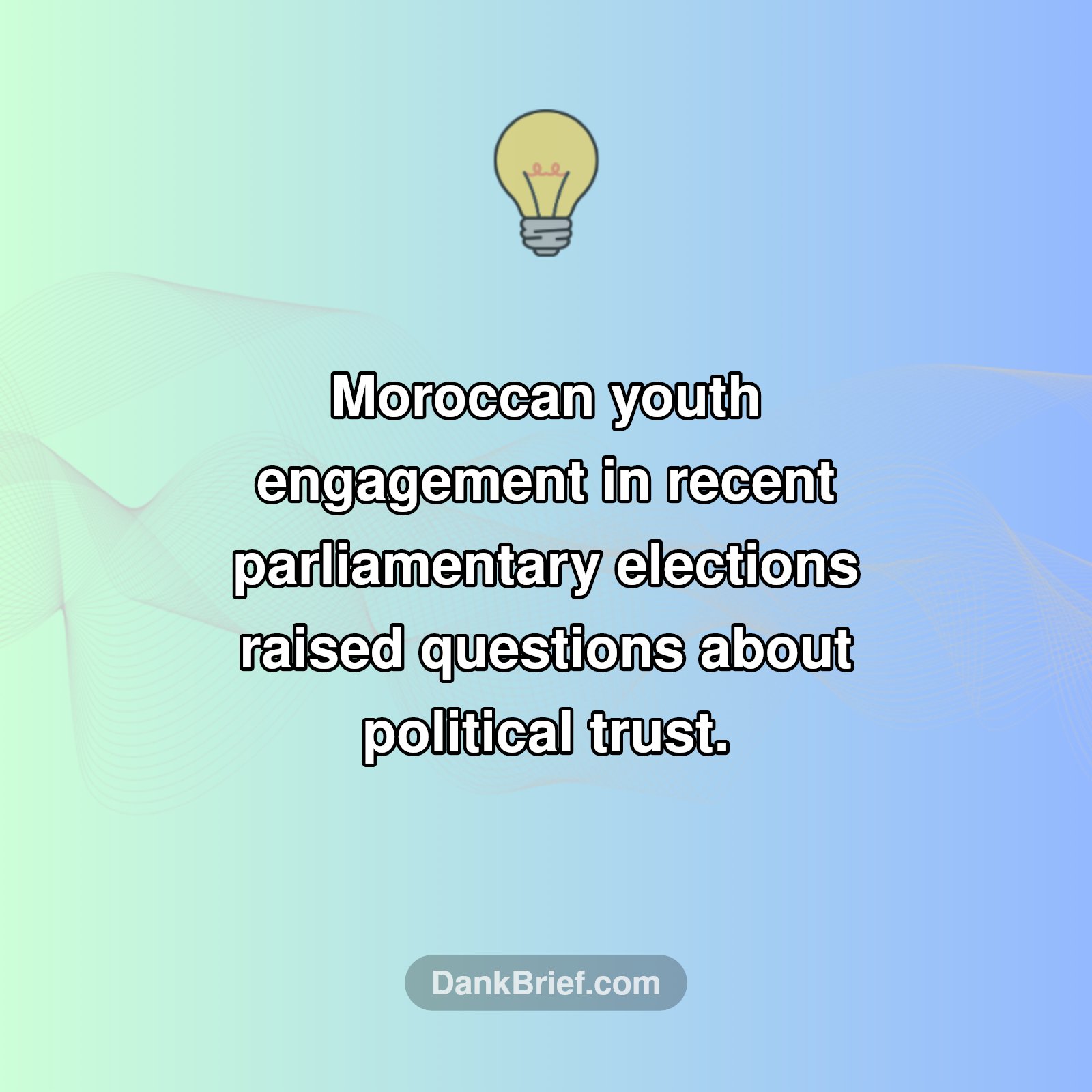 Morocco's Youth Speak Out!