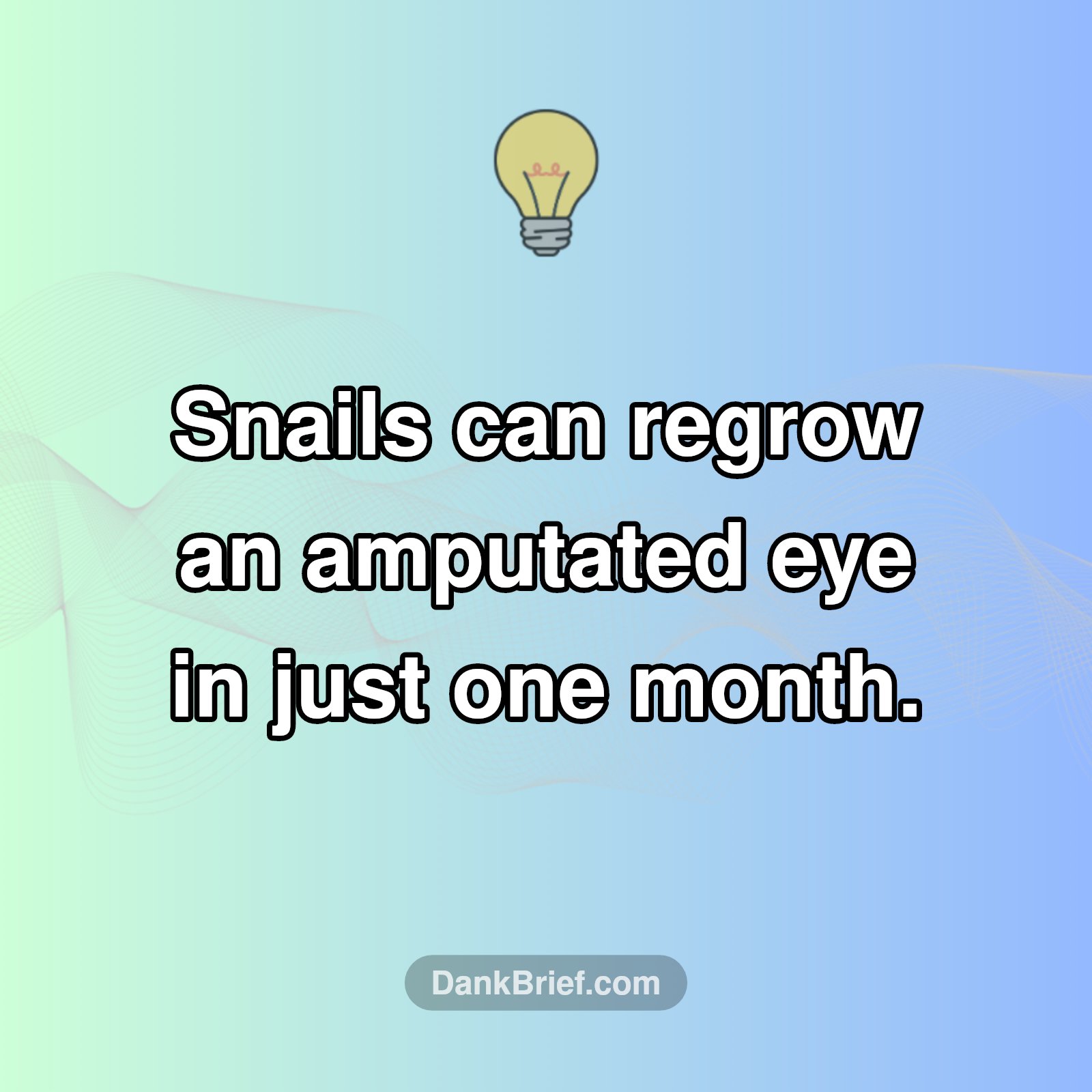 Mind-Blowing Regeneration!