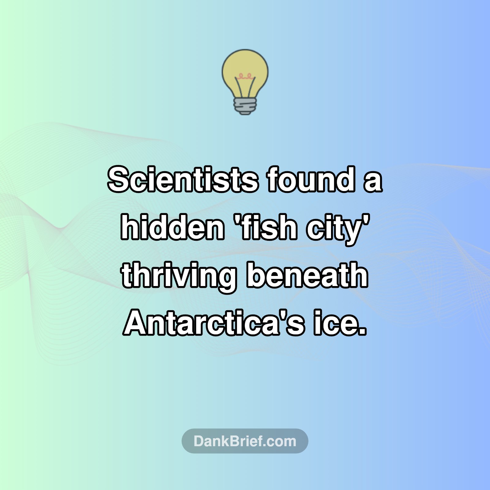 Antarctica's Secret 'Fish City' Discovered!