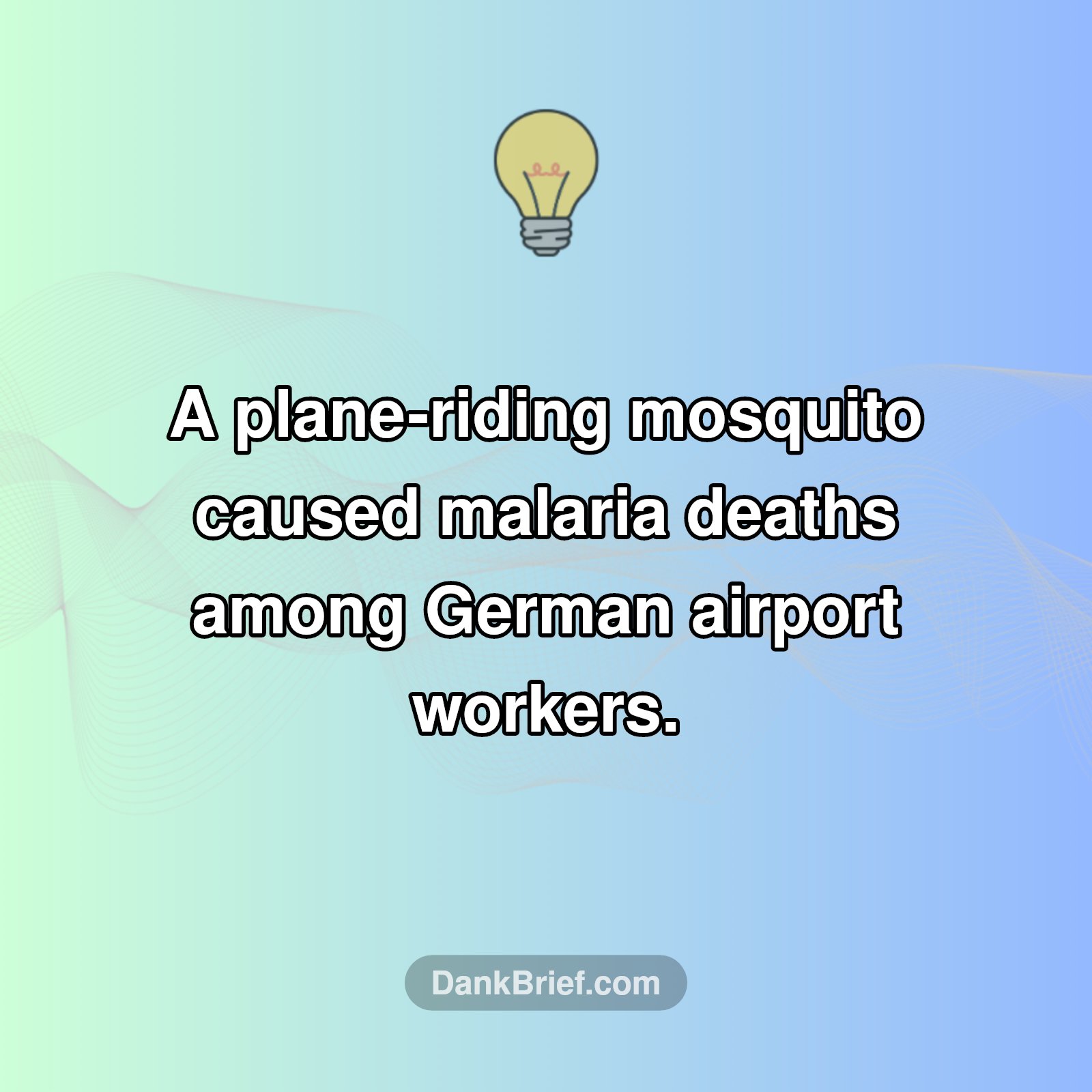 🤯 Global Travel's Hidden Dangers!