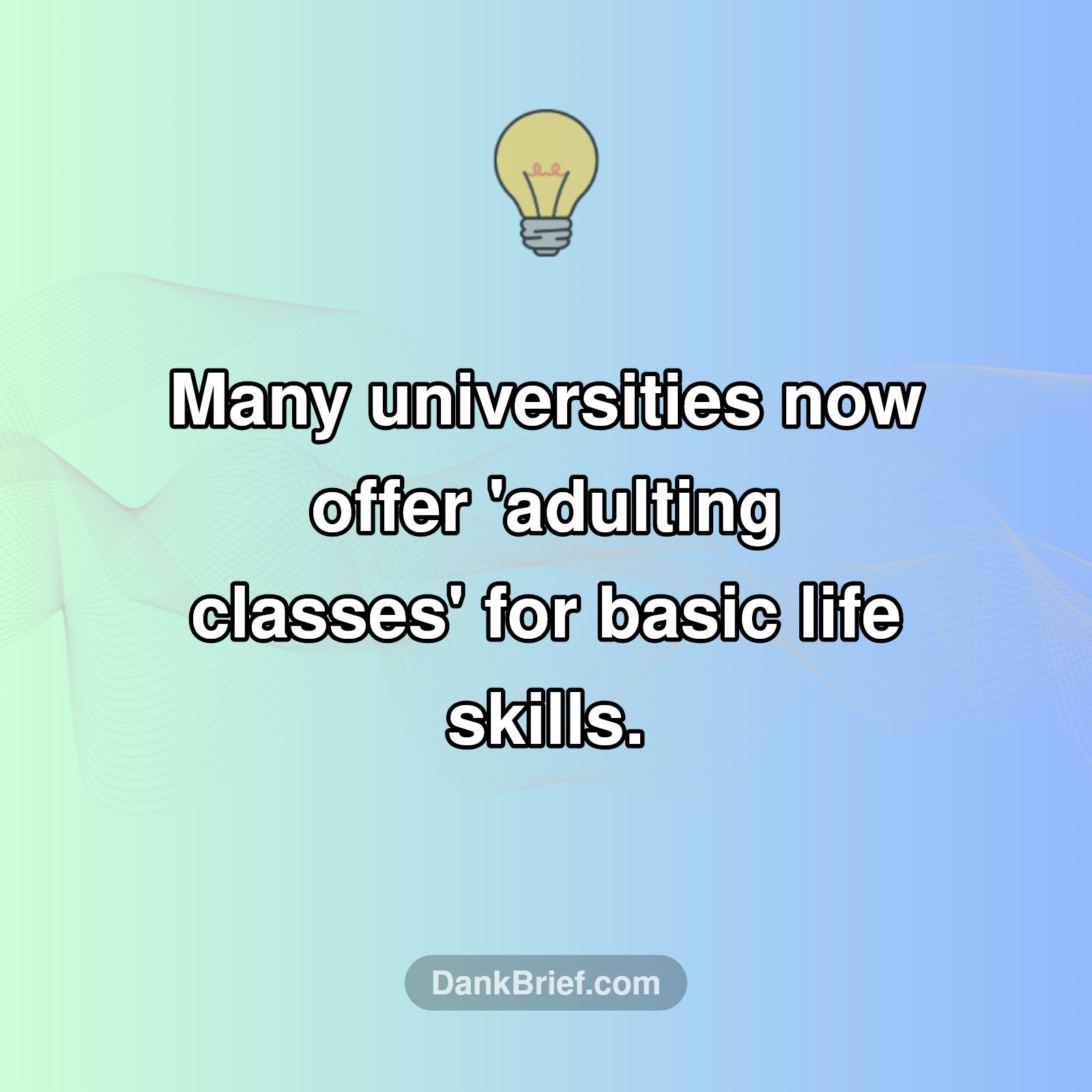 Ever Heard of 'Adulting' Classes?
