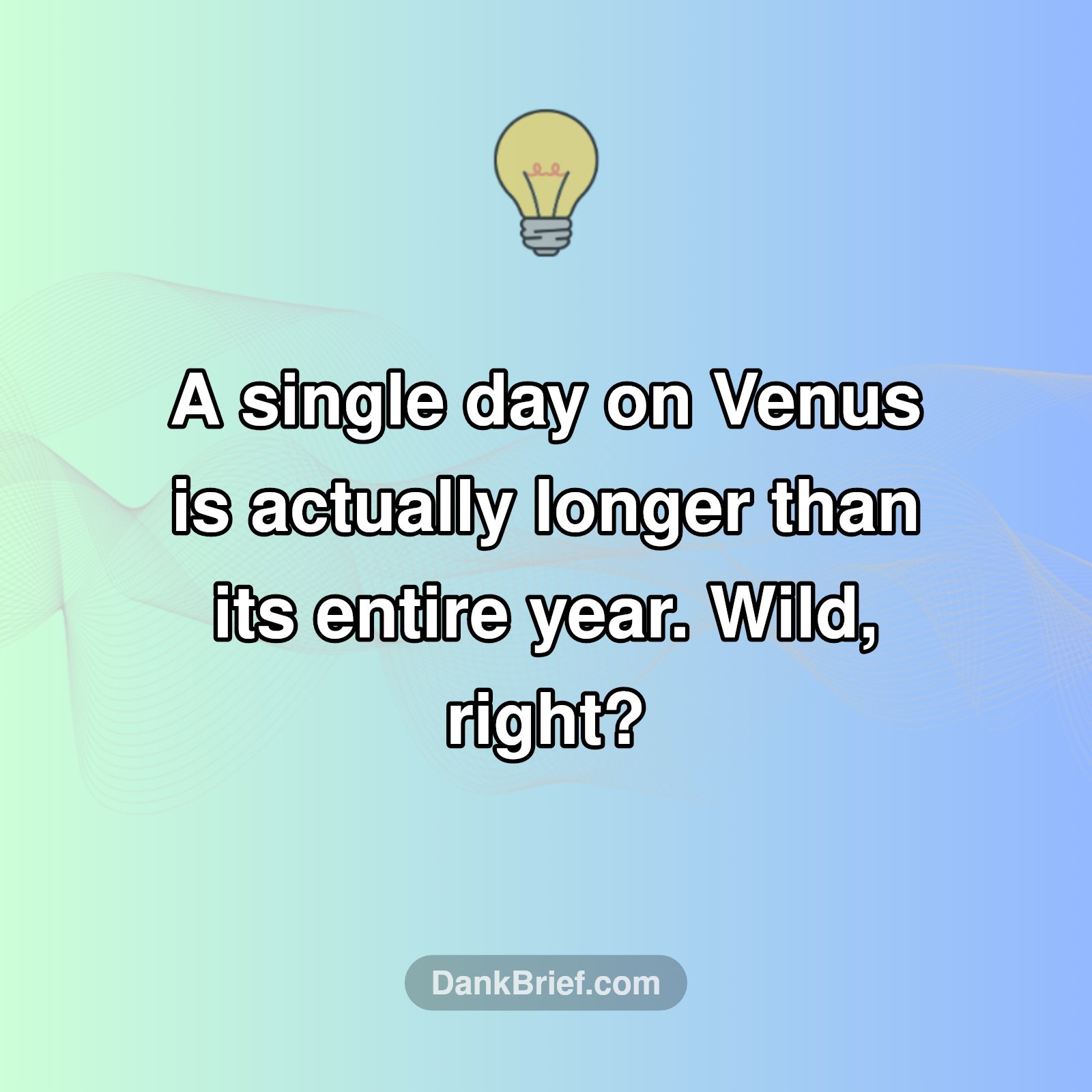 Venus: Time Warped!