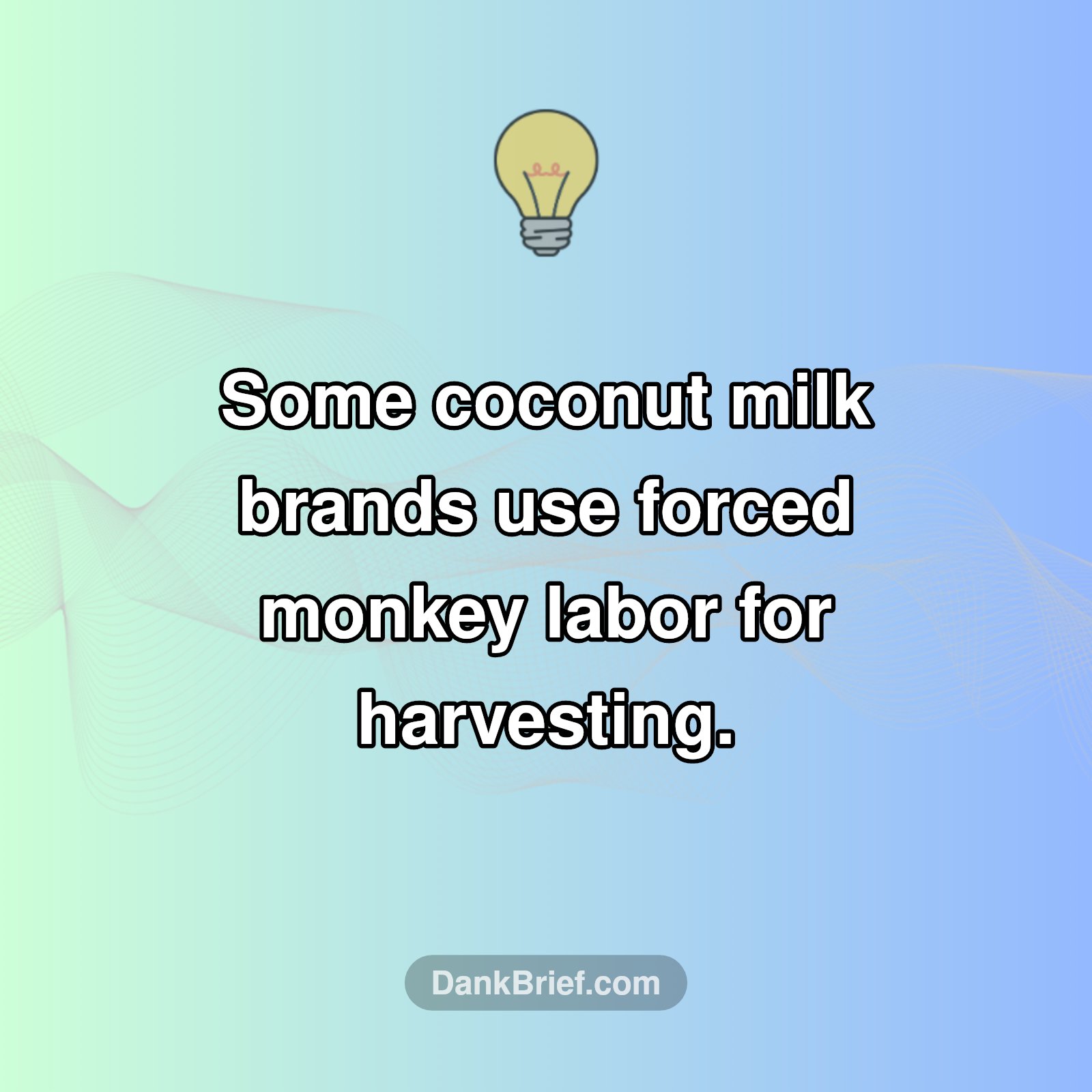 Your Coconut Milk Might Have a Dark Secret