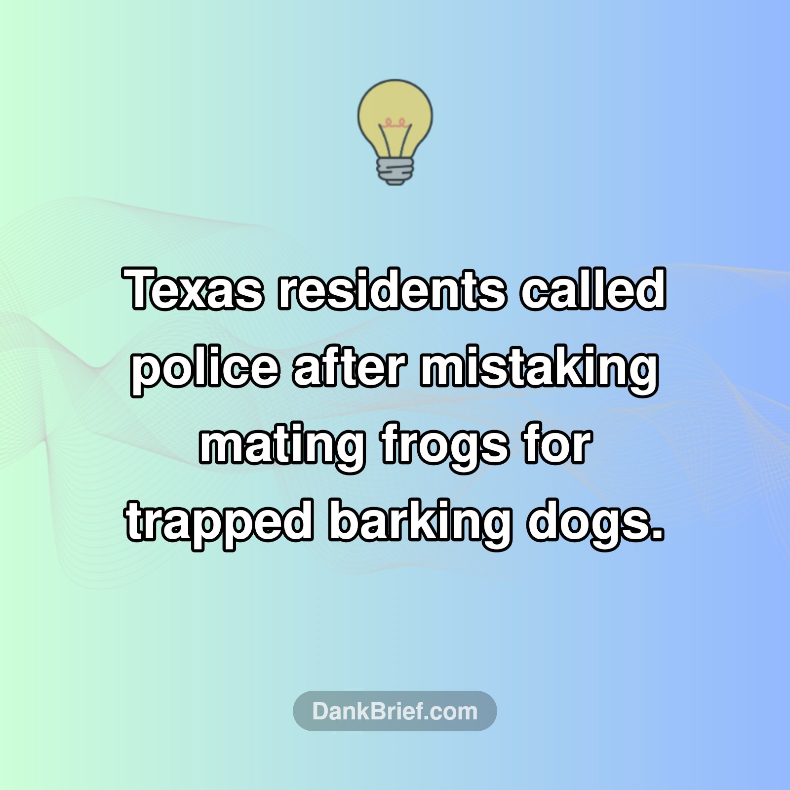 Nature's Misunderstanding!