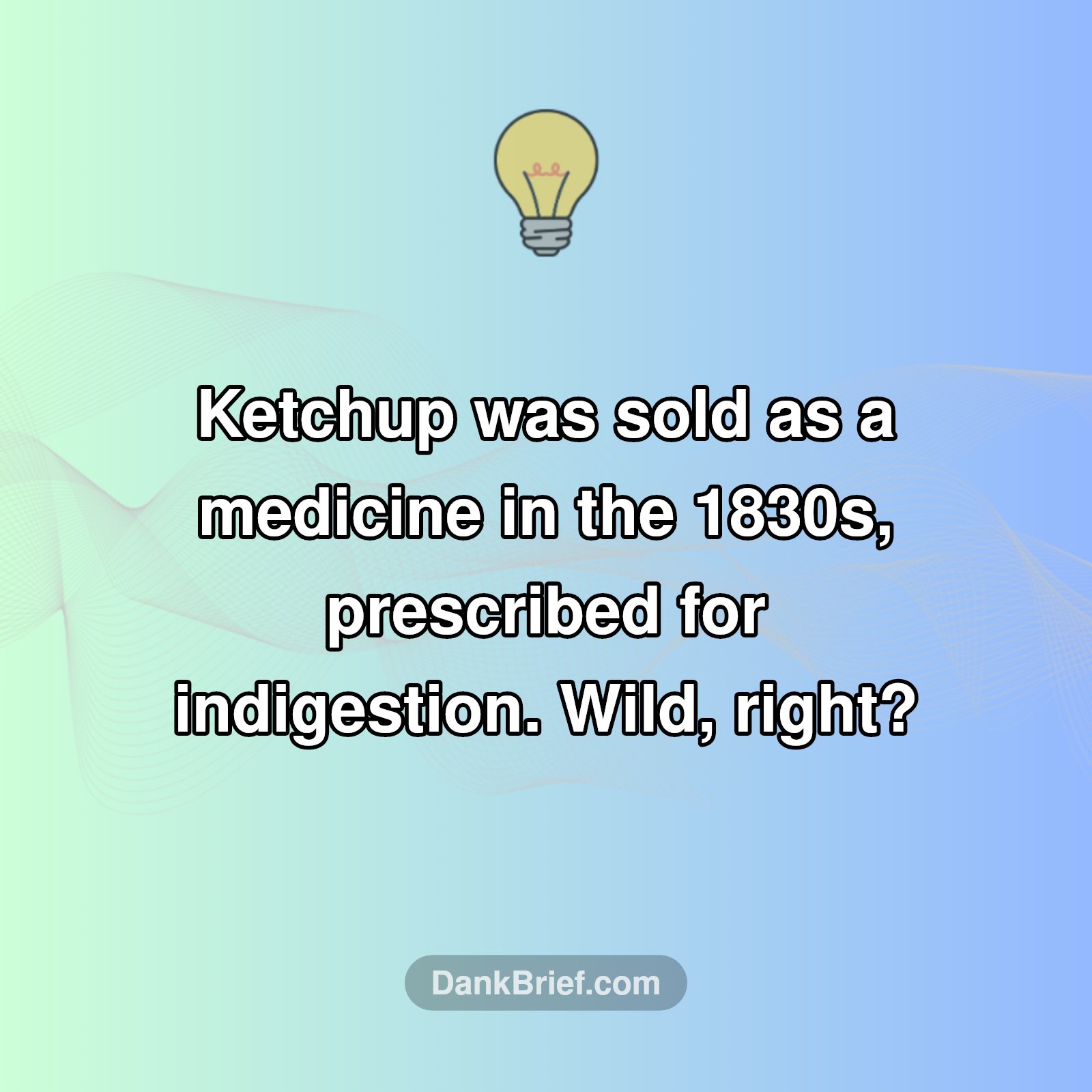 Ketchup's Wild Origin Story