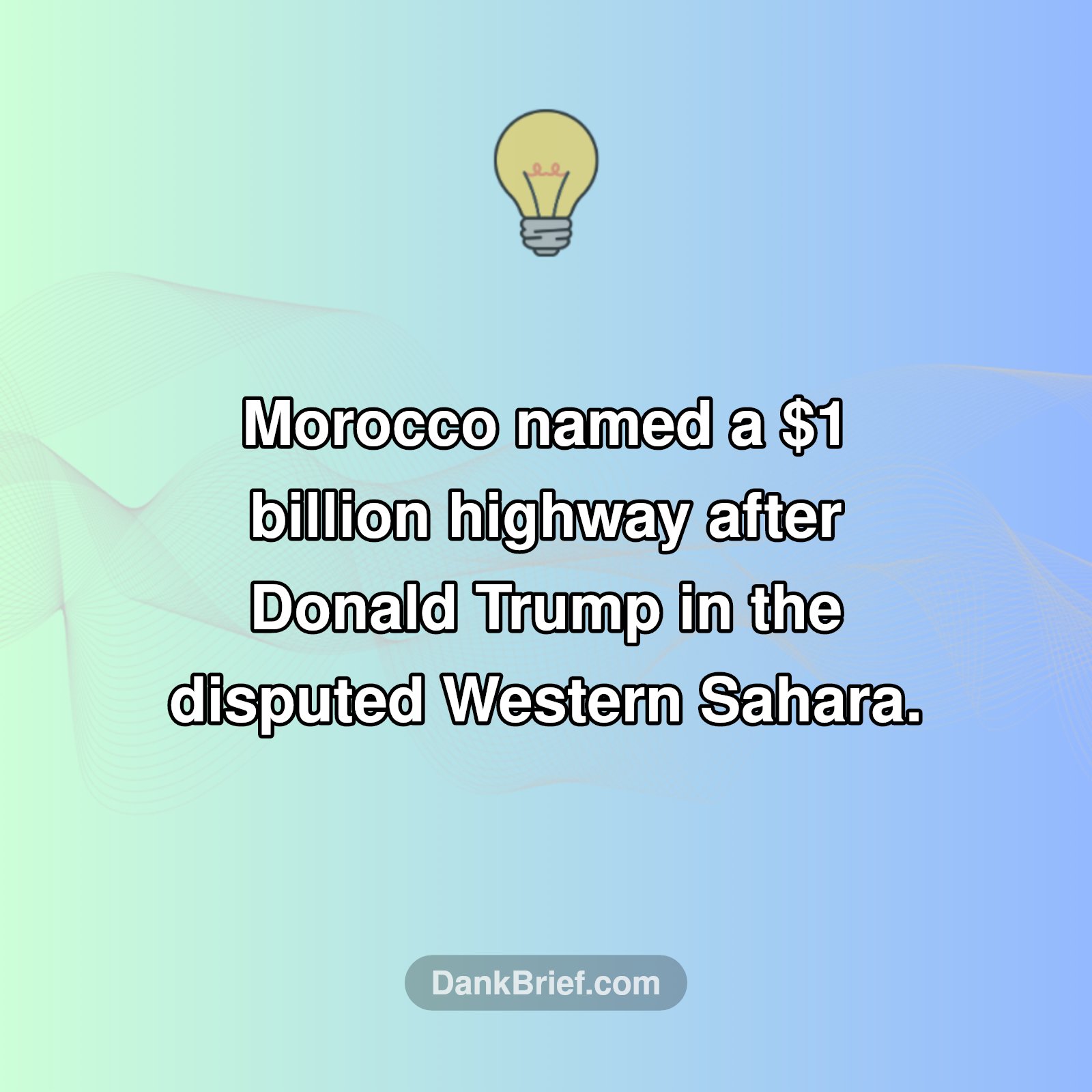 Morocco's Unexpected Tribute