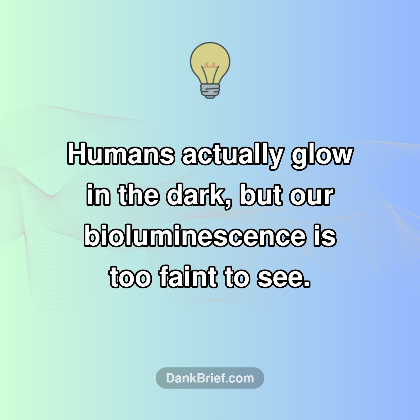 You Secretly Glow?!