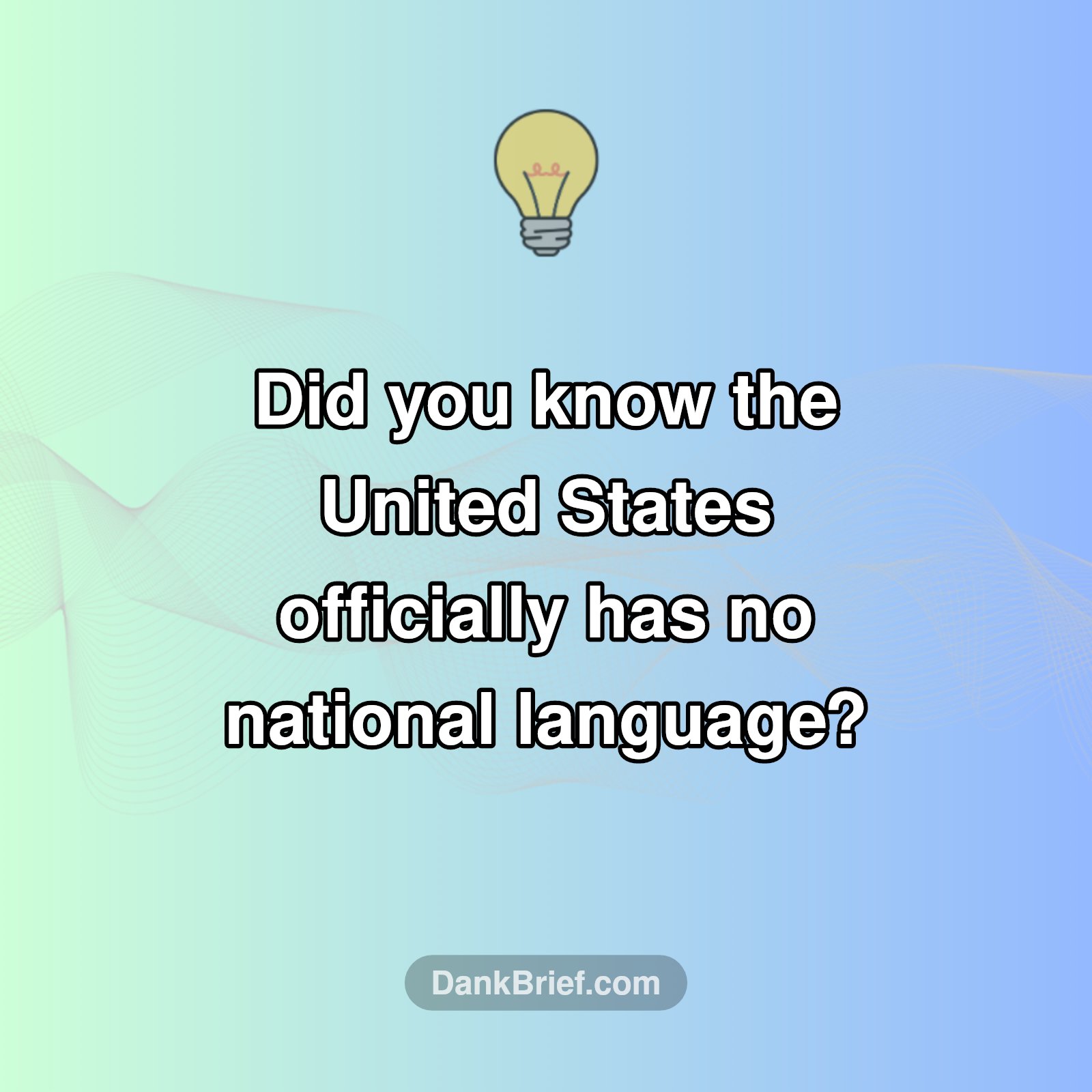 🤯 Language Laws in the US!