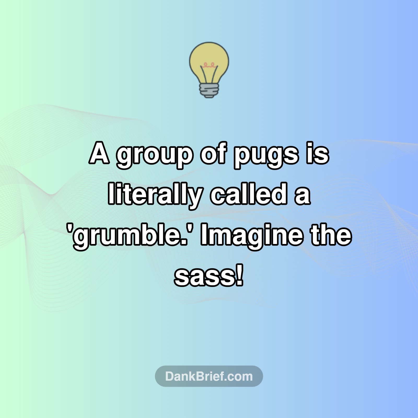 No, Seriously. It's Called A...