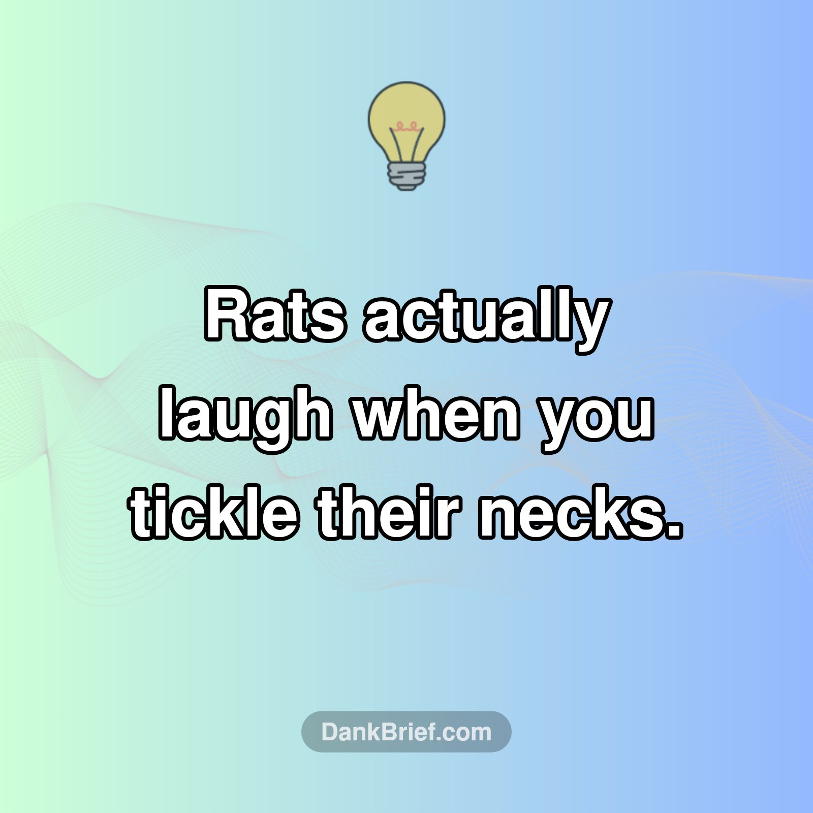 Who Knew Rodents Had a Sense of Humor?
