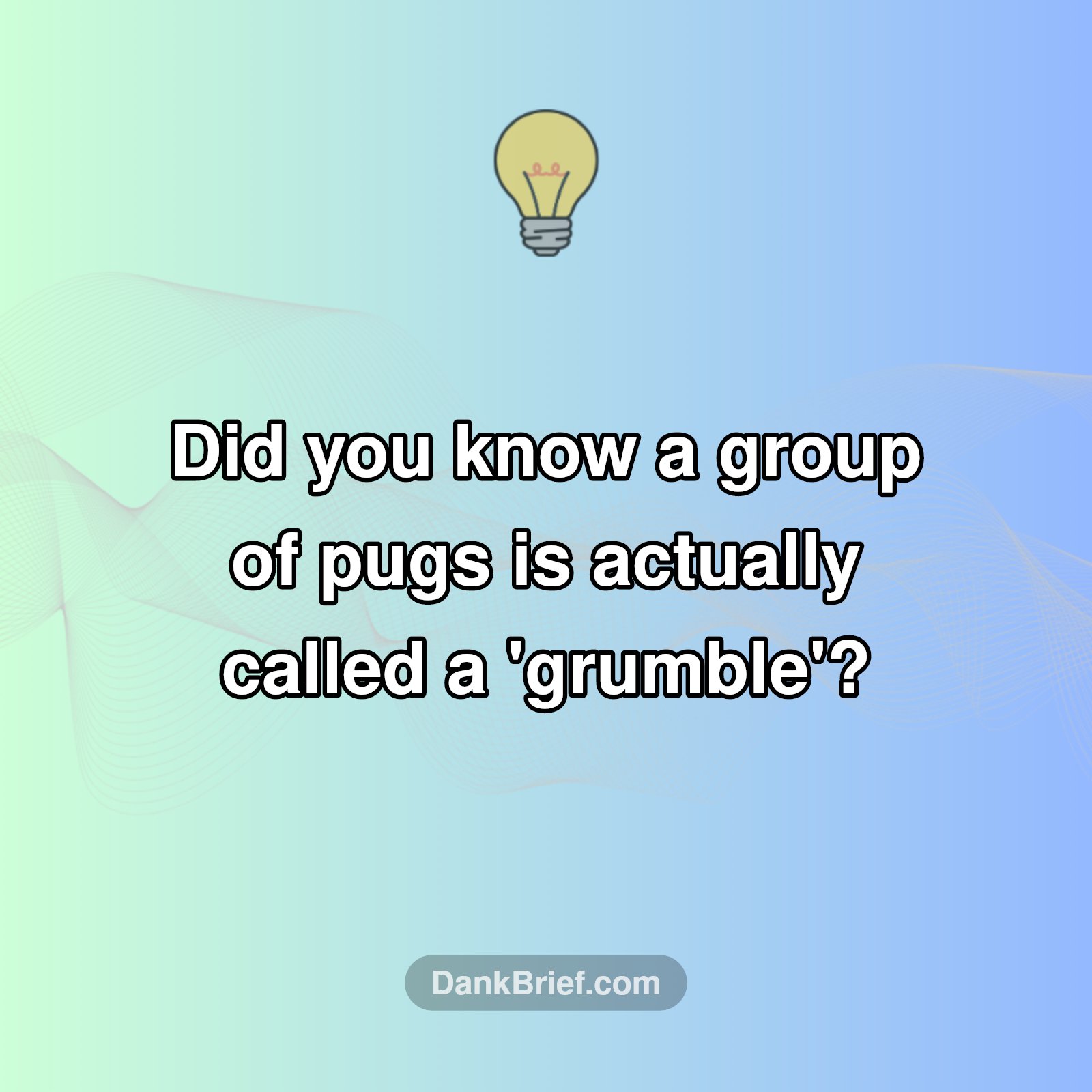 Seriously, a Grumble?!