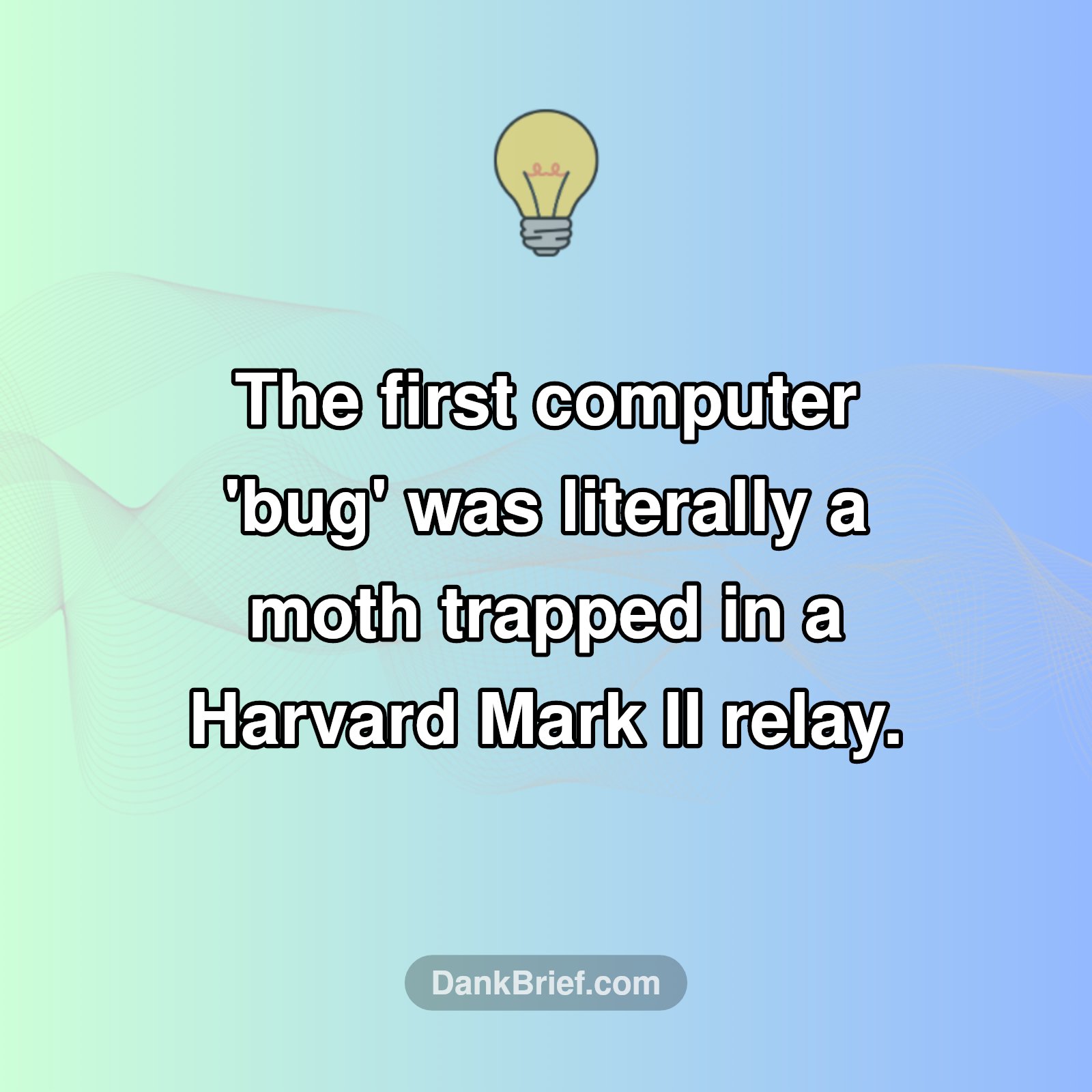 The OG Computer Bug was... a Literal Bug?!