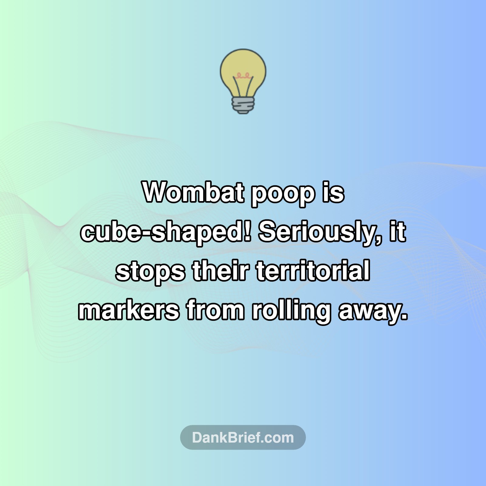 Nature's Oddest Poop!