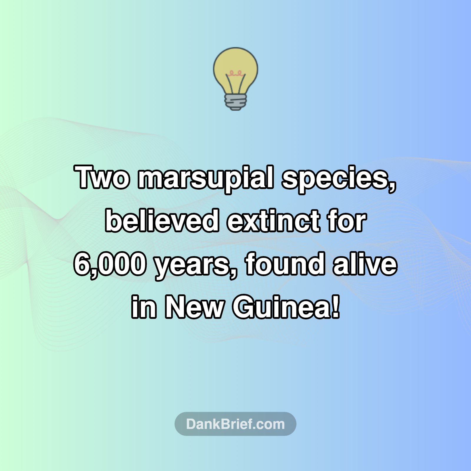 Animals Back From The Brink!