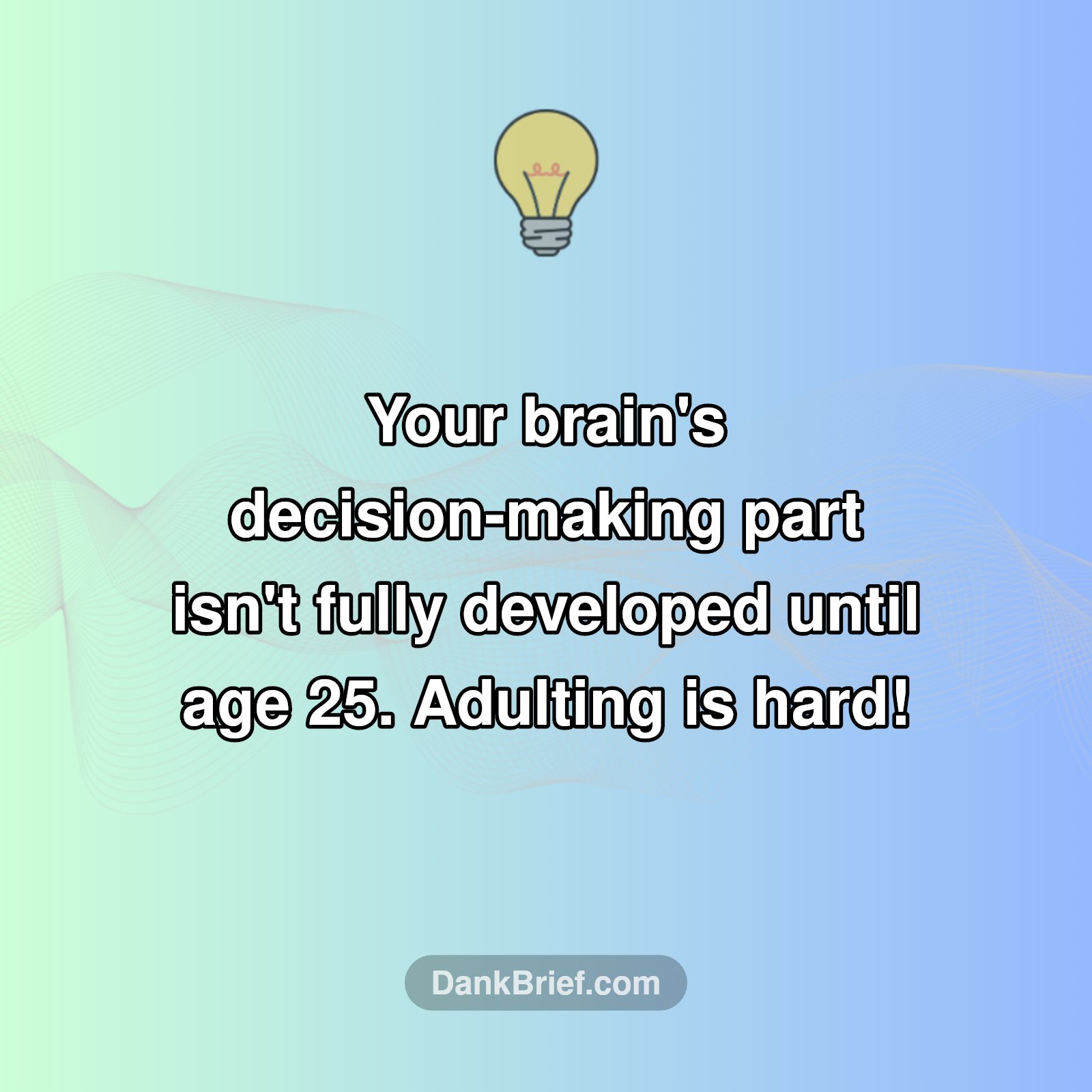 Mind Blown: Your Brain Isn't Fully Adult Yet?!