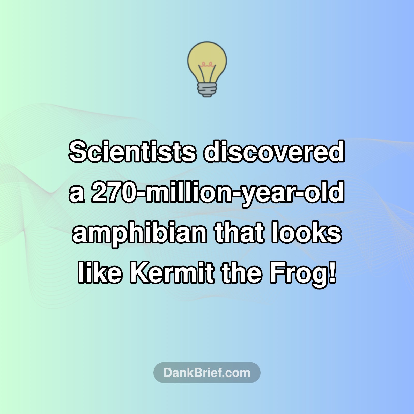 Kermit the Frog's Ancient Ancestor?! 🐸