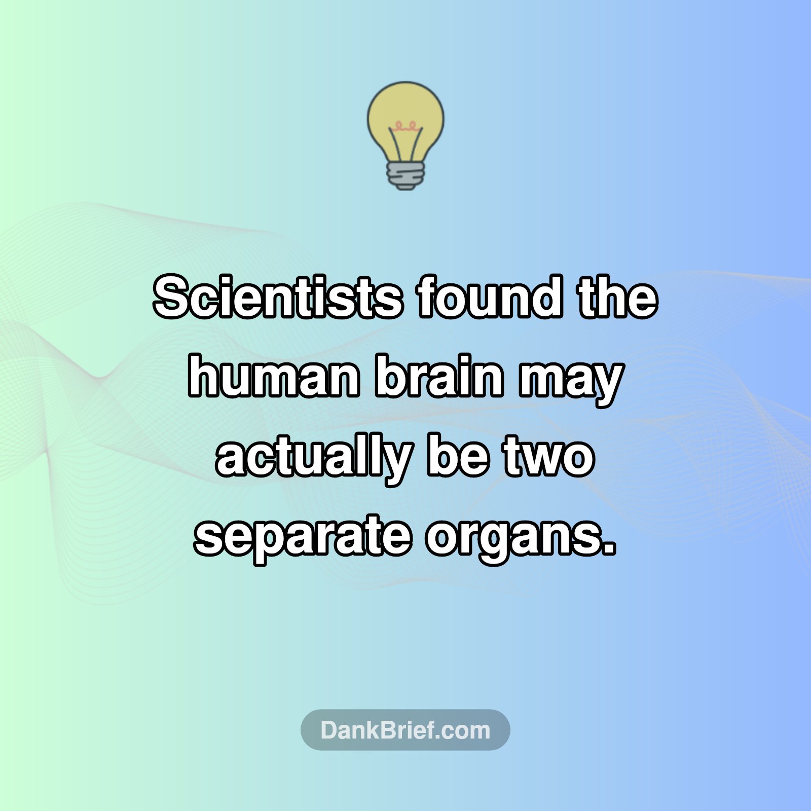 Mind-Blowing Brain News!