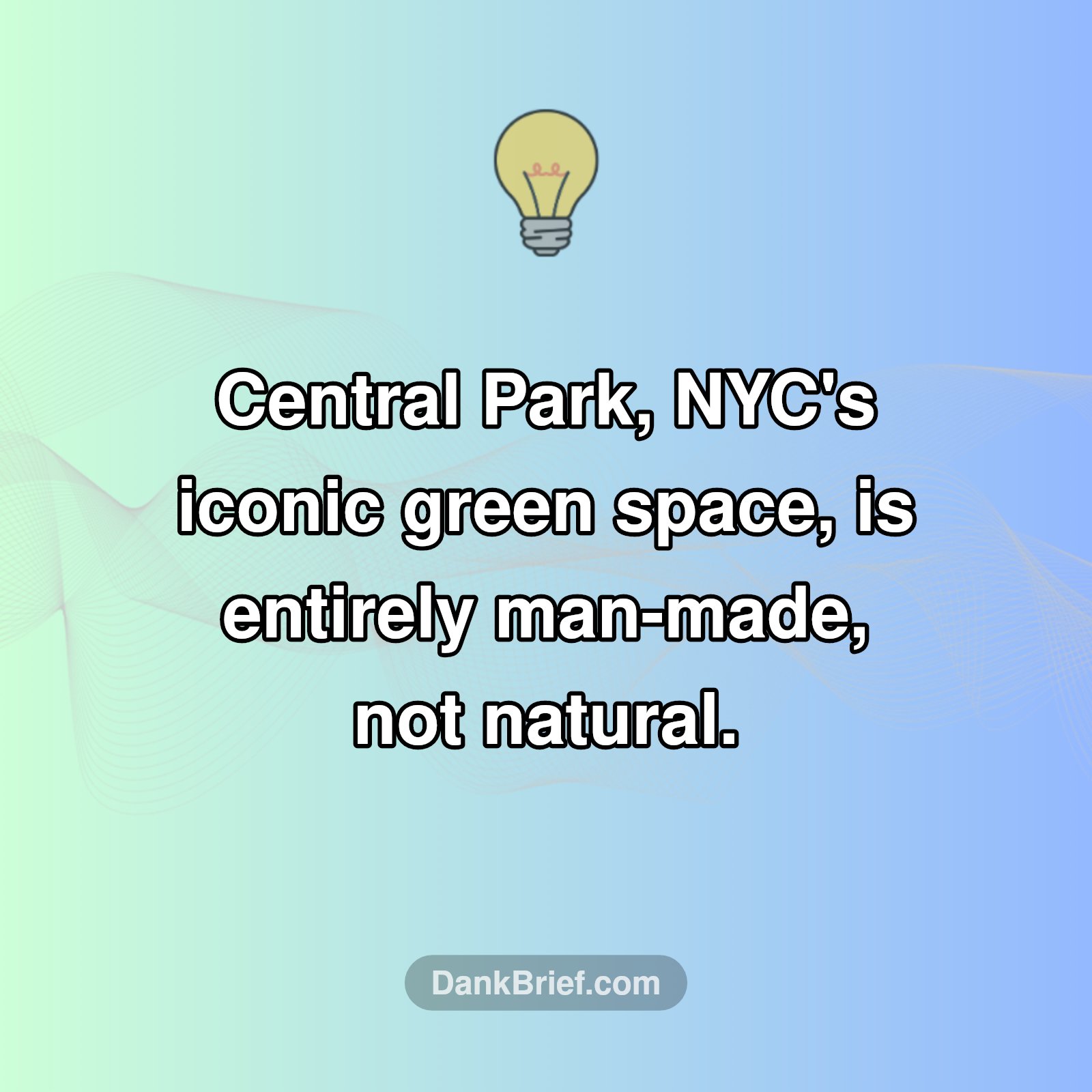 NYC's Green Secret!