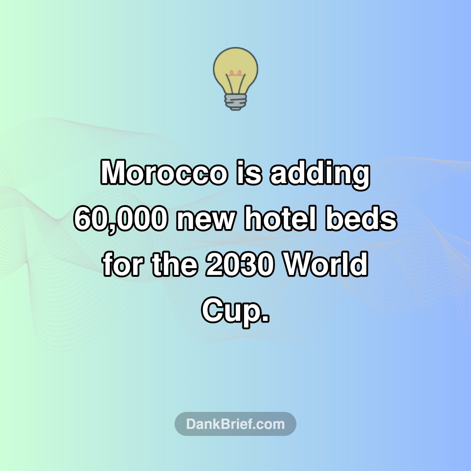 Morocco's World Cup Hospitality Surge