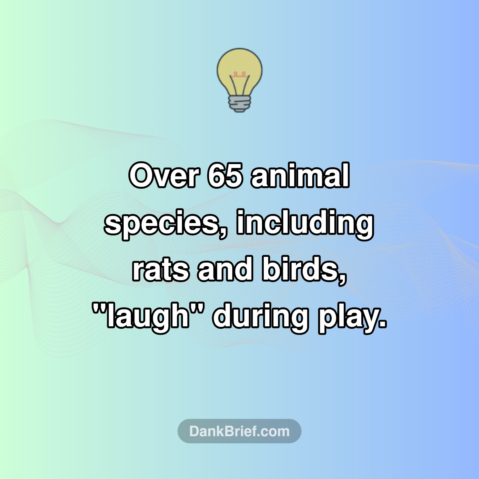 Laughter Isn't Just for Humans!