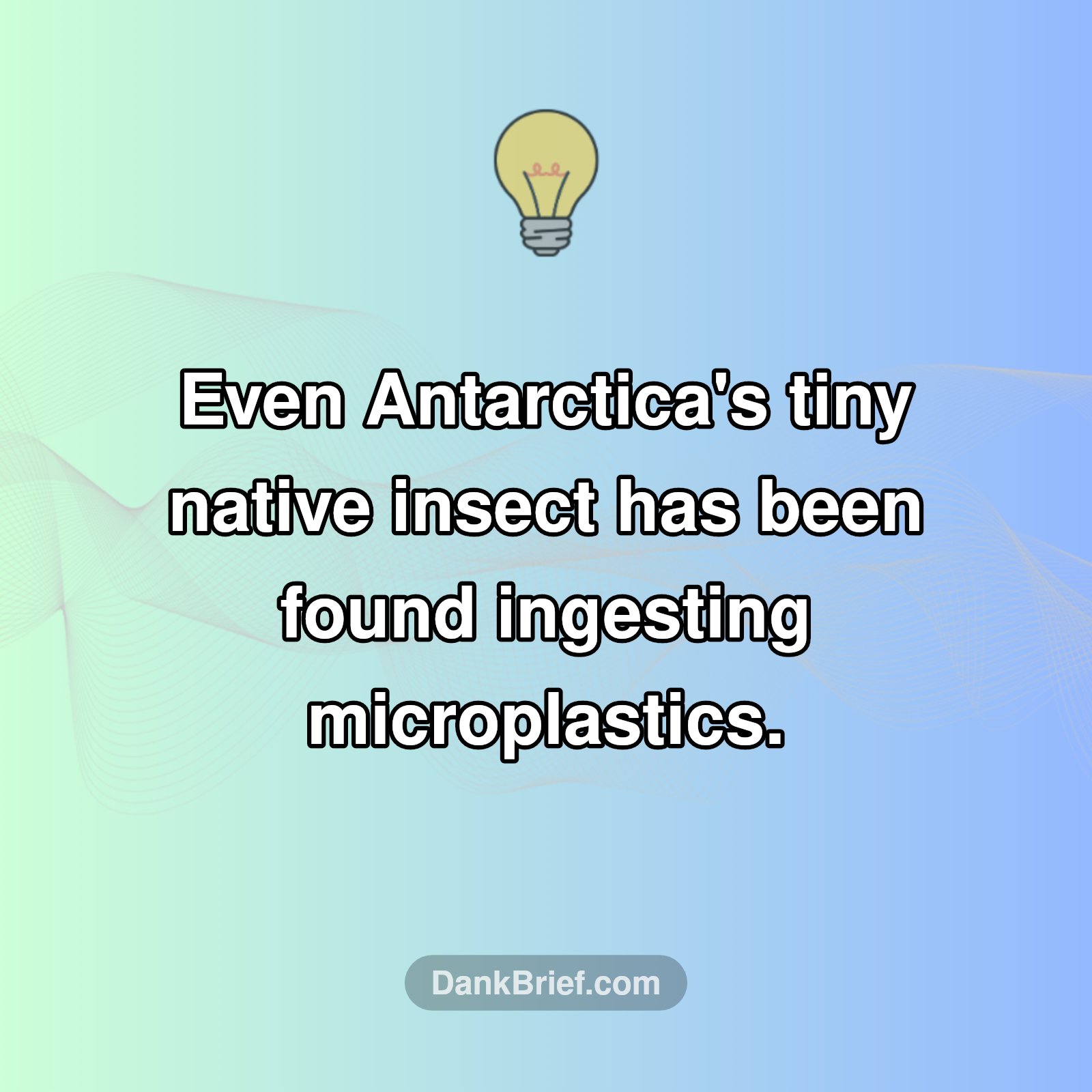 Earth's Surprising Secrets